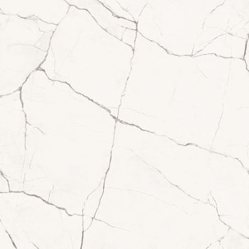 THE ROOM: White Statuario Vena Piccola Marble Square Flat Wall Porcelain Field Tile (47 1/4"x47 1/4"x6.5mm | semi glossy)
