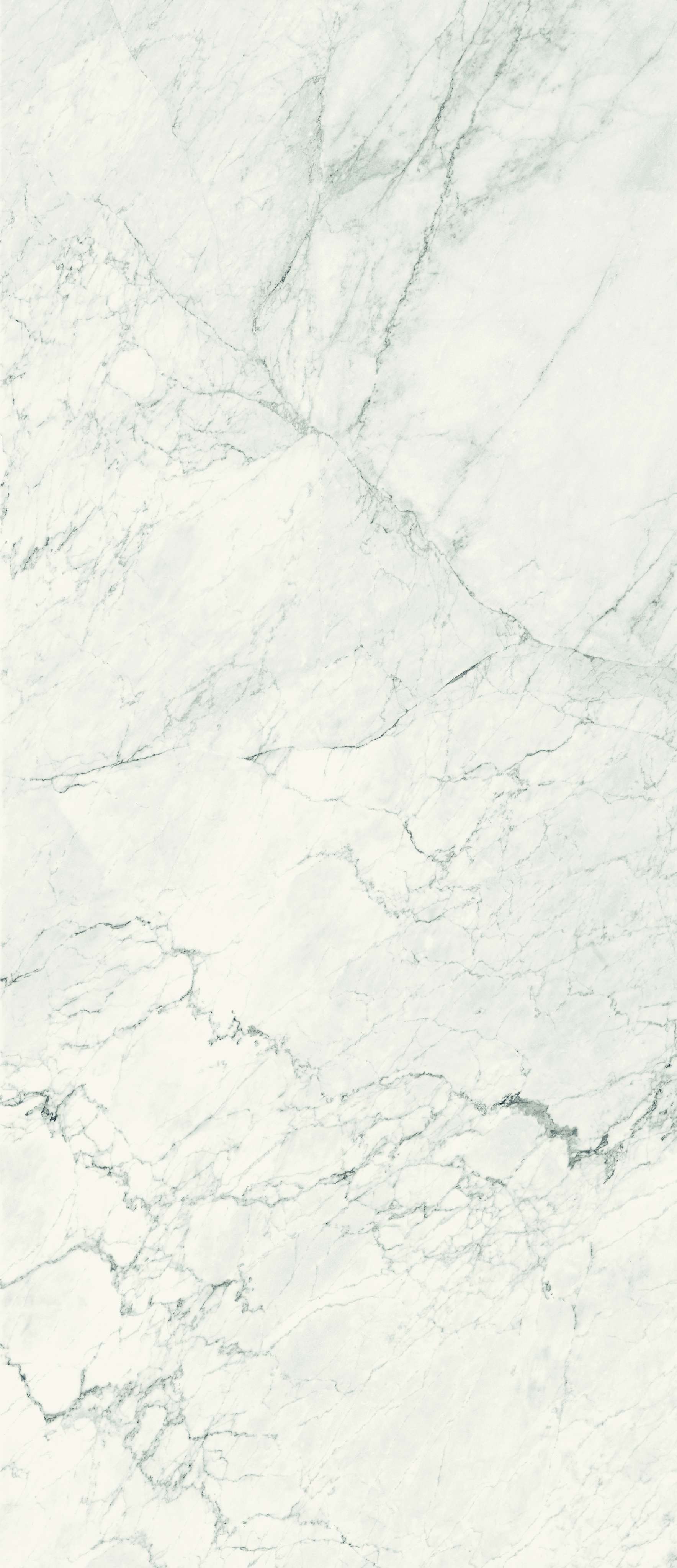 AESTHETICA: Calacatta Extra White Marble Square Flat Wall Porcelain Field Tile (47 1/4"x47 1/4"x6.5mm | matte)