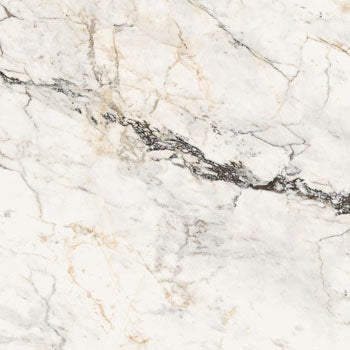 Luxurious large-format porcelain tile with dramatic Paonazzetto marble veins on a refined white ground, semi-gloss finish.