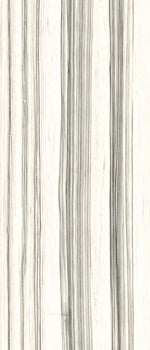 Elegant large-format porcelain wall tile with refined Zebrino marble veins on a luminous white ground, semi-matte finish.
