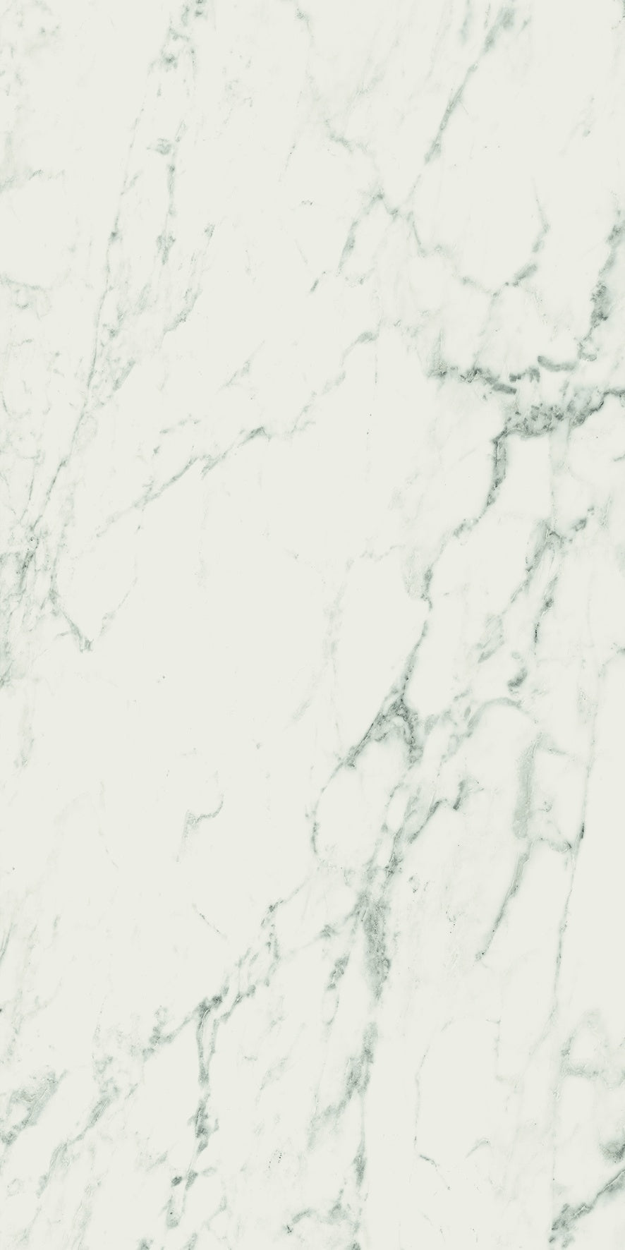Sleek Calacatta marble-effect porcelain bullnose trim in luminous white with refined veining, honed semi-gloss finish.