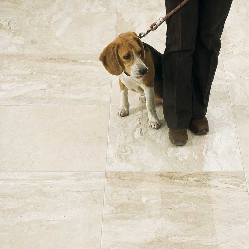 DIANA ROYAL : Square Field Tile (polished | 18"x18"x1/2" | straight cut)