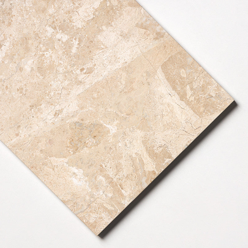 DIANA ROYAL : Rectangle Field Tile (polished | 12"x24"x1/2" | straight cut)