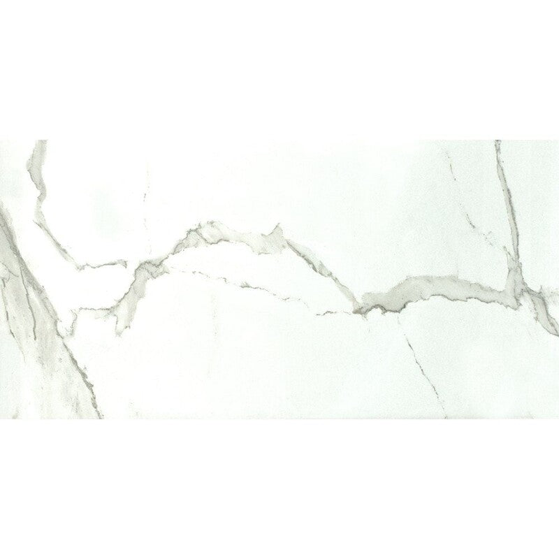 METRO PORCELAIN: Albatros Rectangle Field Tile (polished | 12"x24"x3/8" | straight cut)