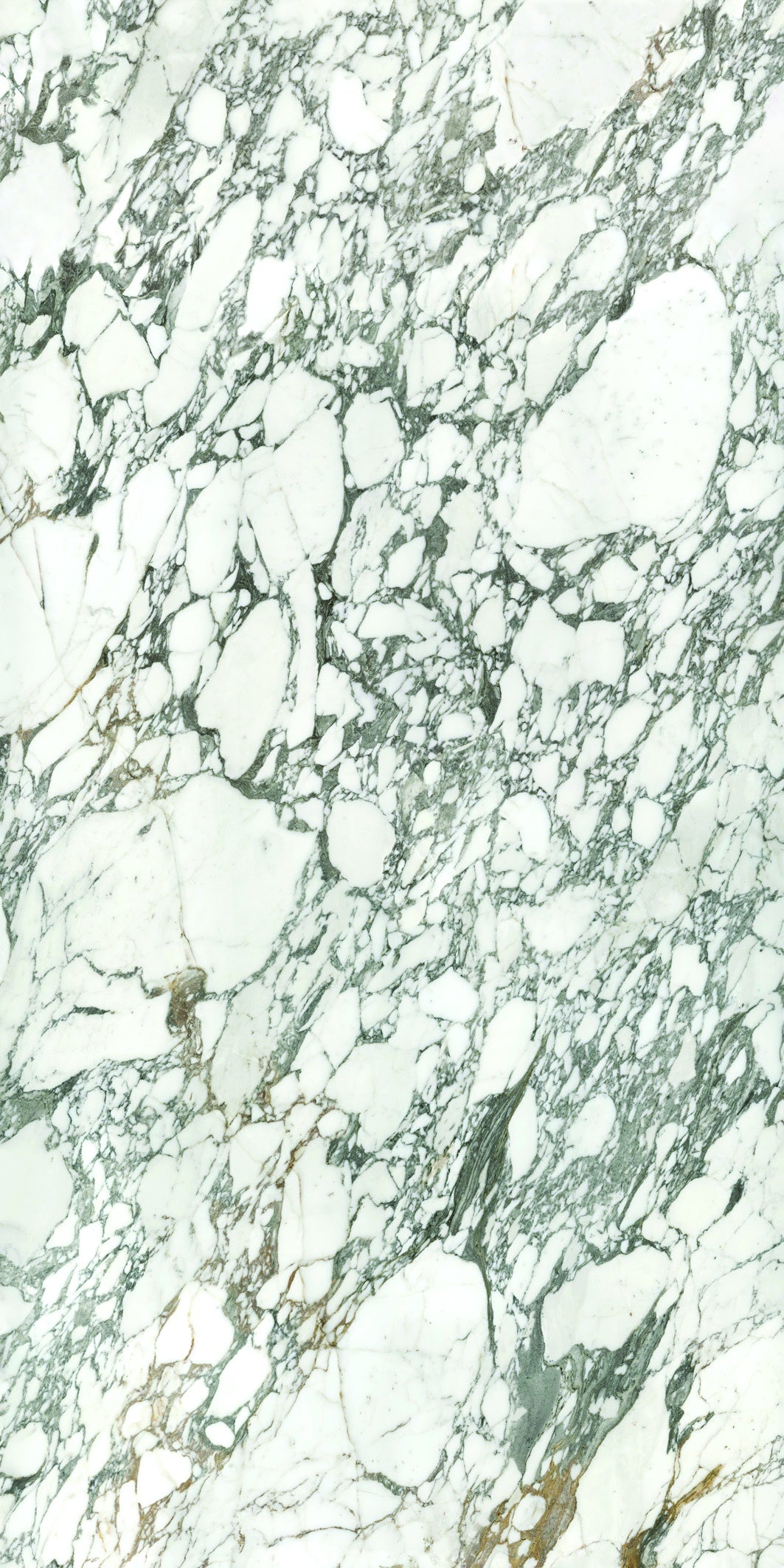 Arabescato Corchia slabs by Anatolia Aeterna, top-down product view, 63"×125 31/32" size. Premium porcelain for floors and walls.