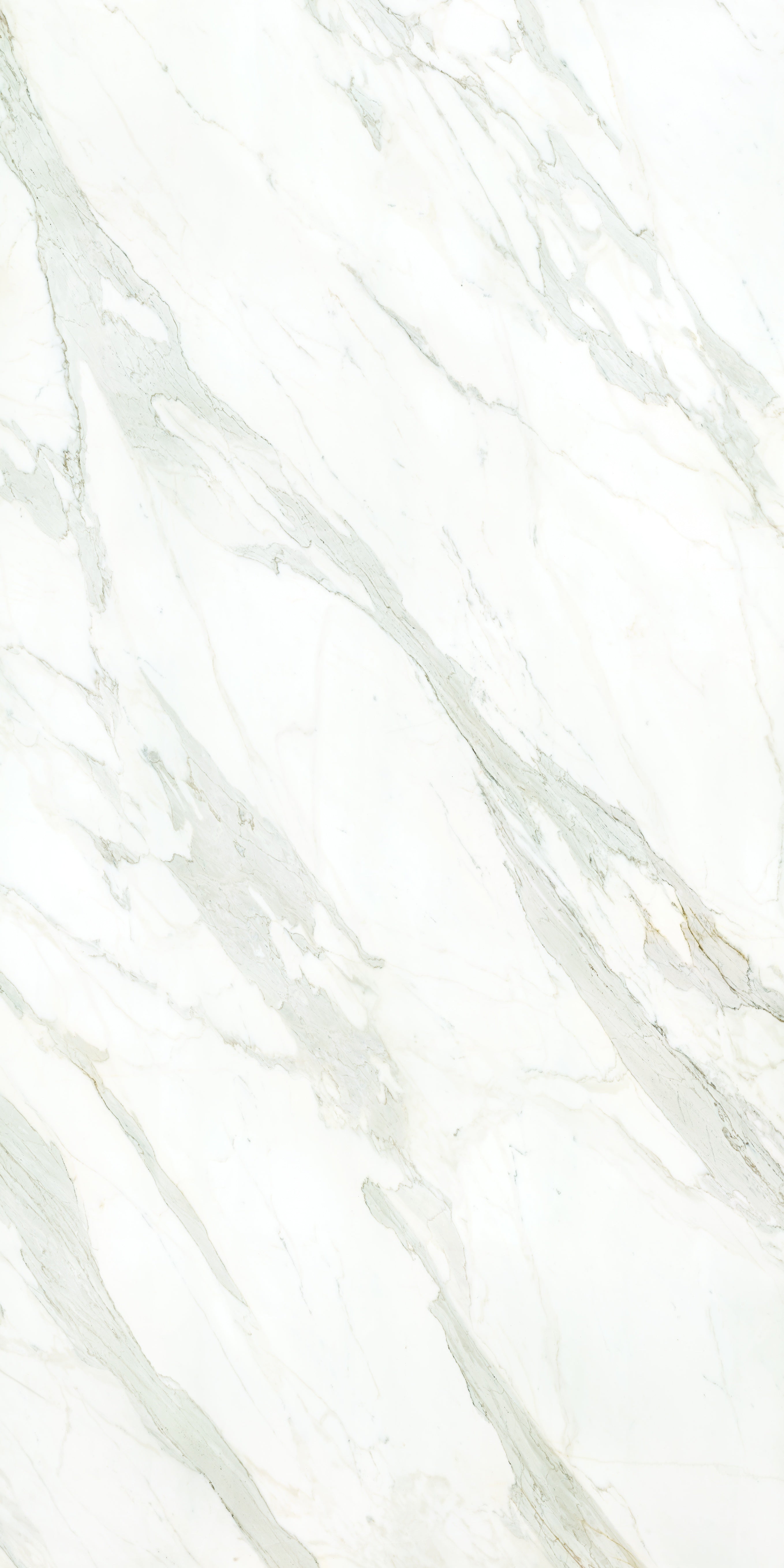 Calacatta Borghini slabs by Anatolia Aeterna, alternate product view, 63"×125 31/32" size. Premium porcelain for floors and walls.