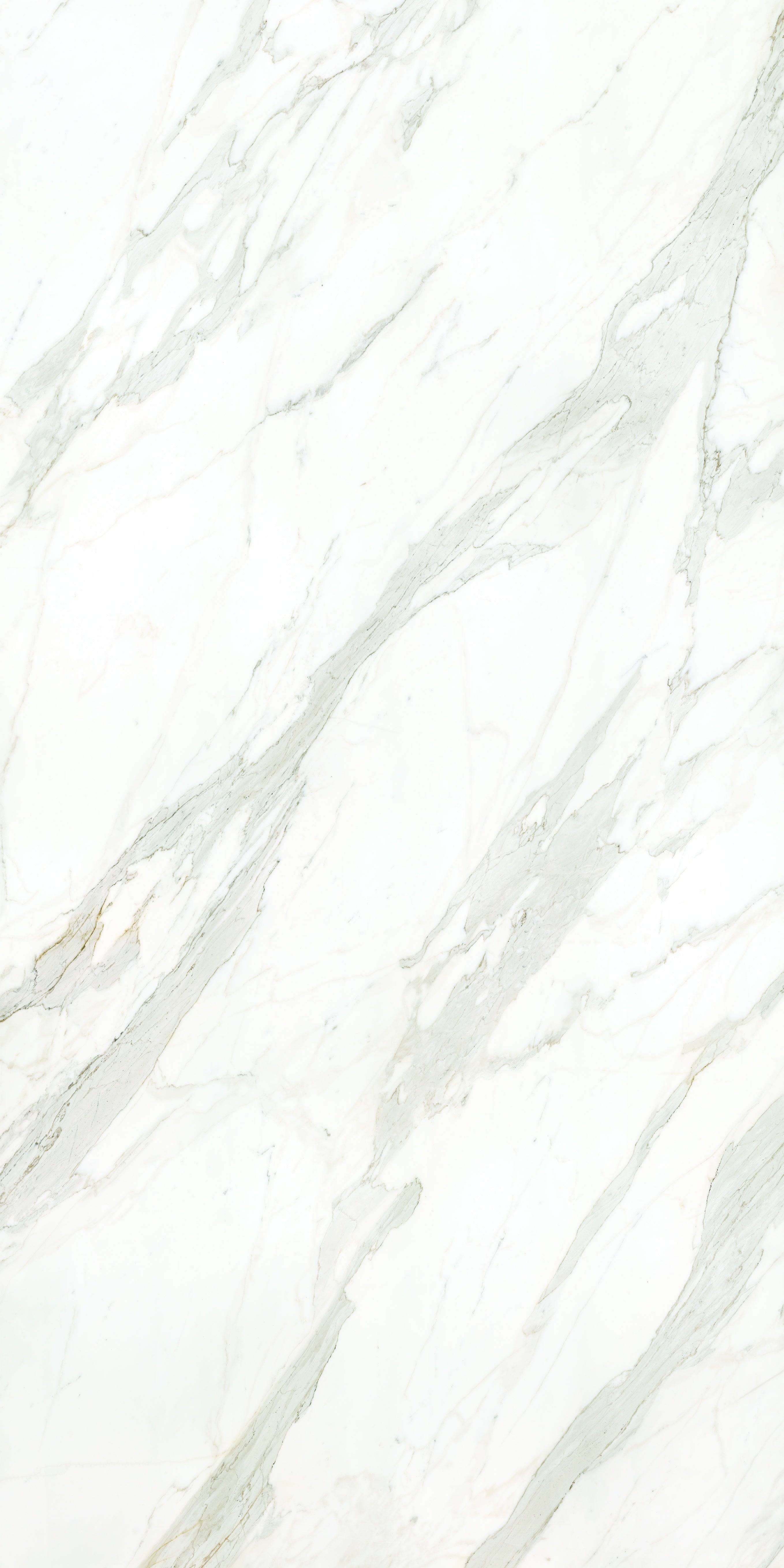 Calacatta Borghini slabs by Anatolia Aeterna, top-down product view, 63"×125 31/32" size. Premium porcelain for floors and walls.