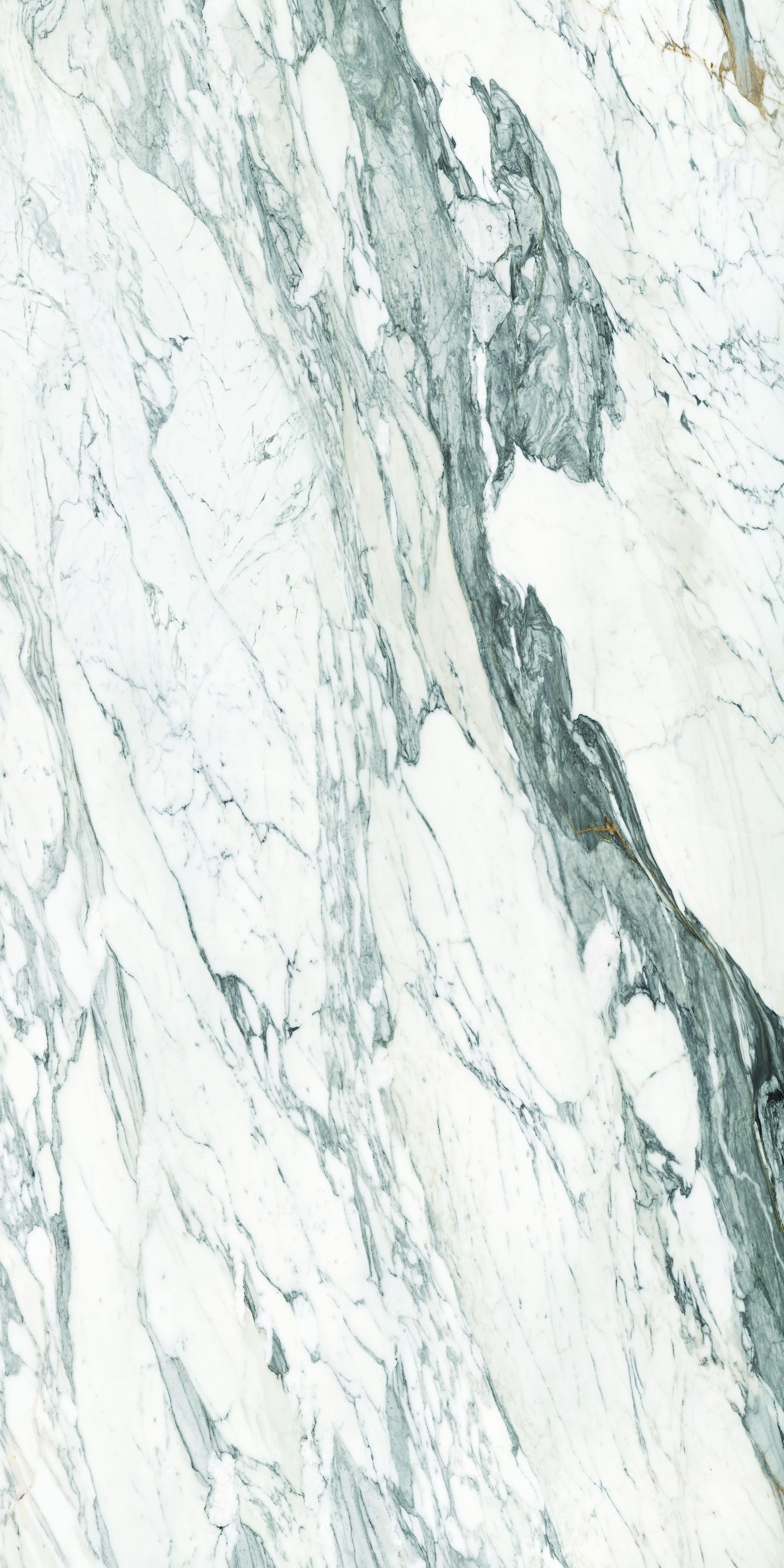 Calacatta Corchia slabs by Anatolia Aeterna, alternate product view, 63"×125 31/32" size. Premium porcelain for floors and walls.