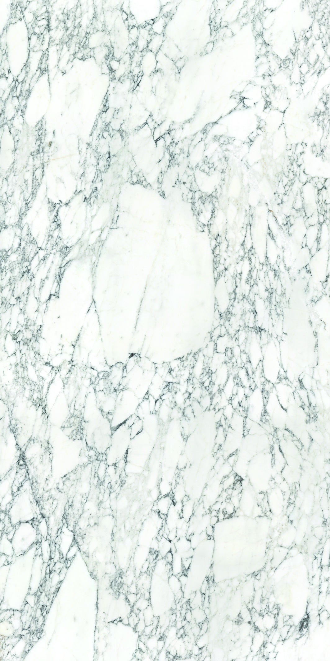 ARABESCATO VAGLI: Bookmatch Slabs (63"×125 31/32" | Honed | Rectified)