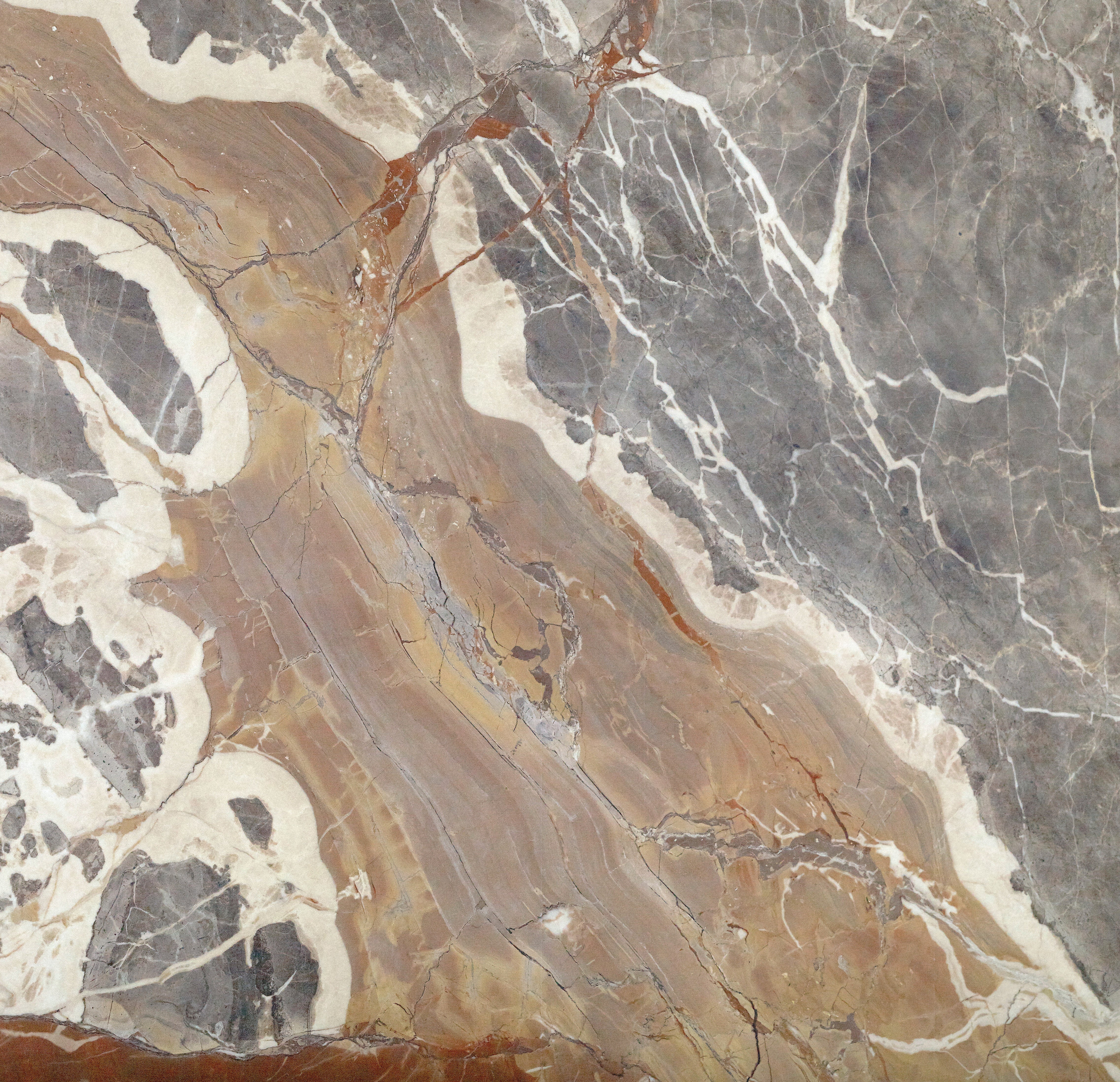 Majesto Macchia Vecchia sintered stone slabs by Anatolia, top-down product view, 64"×127"×15/32" size. Turkish sintered stone for floors and walls.