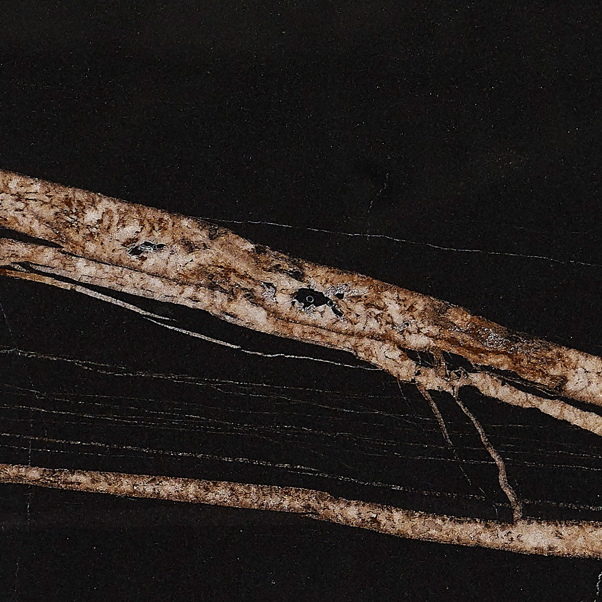 Majesto Sahara Noir sintered stone slabs by Anatolia, top-down product view, 64"×127"×15/32" size. Turkish sintered stone for floors and walls.