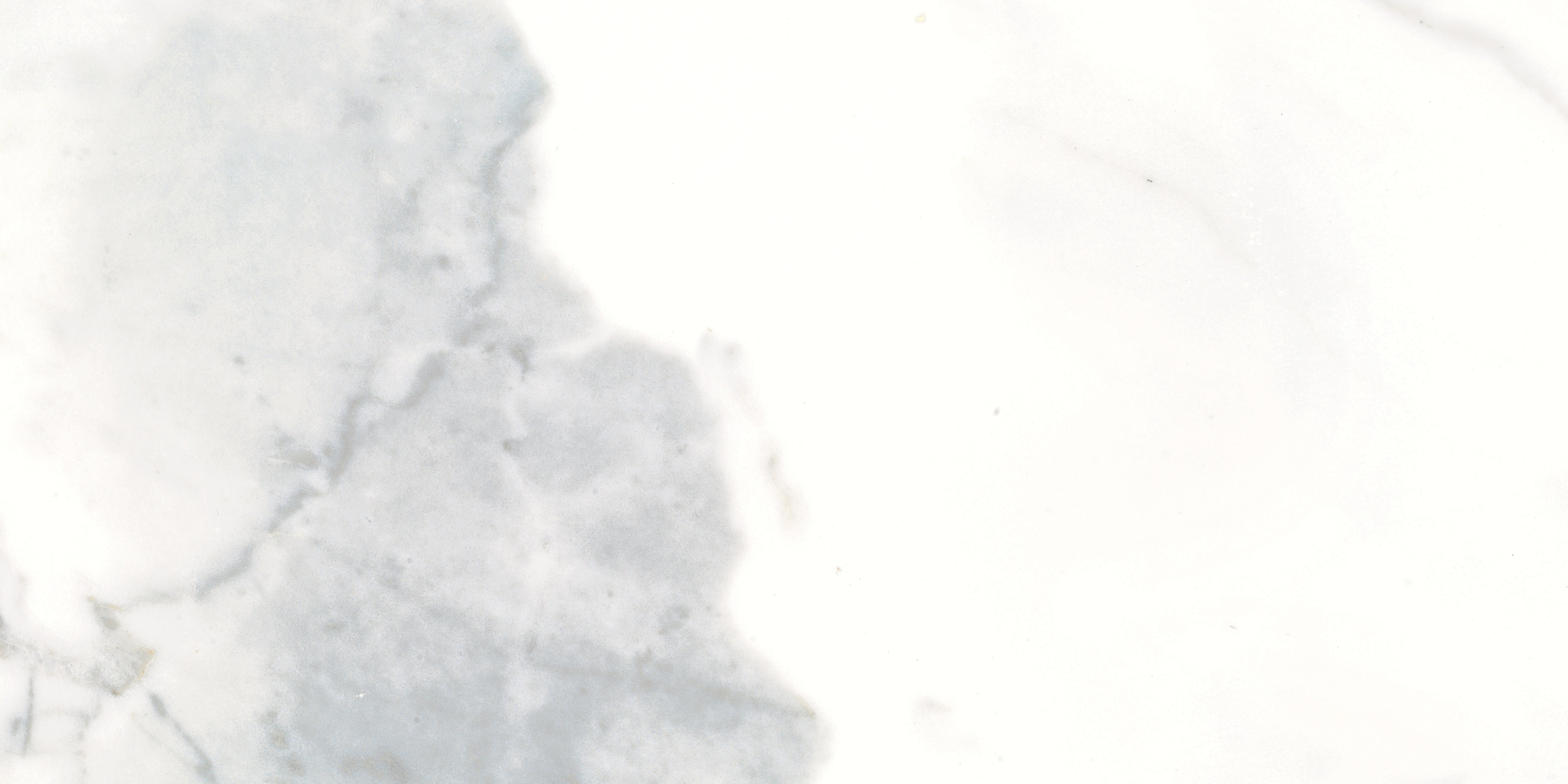 Classic Calacatta porcelain field tile by Anatolia, top-down product view, 12"×24"×11/32" size. Turkish porcelain for floors and walls.