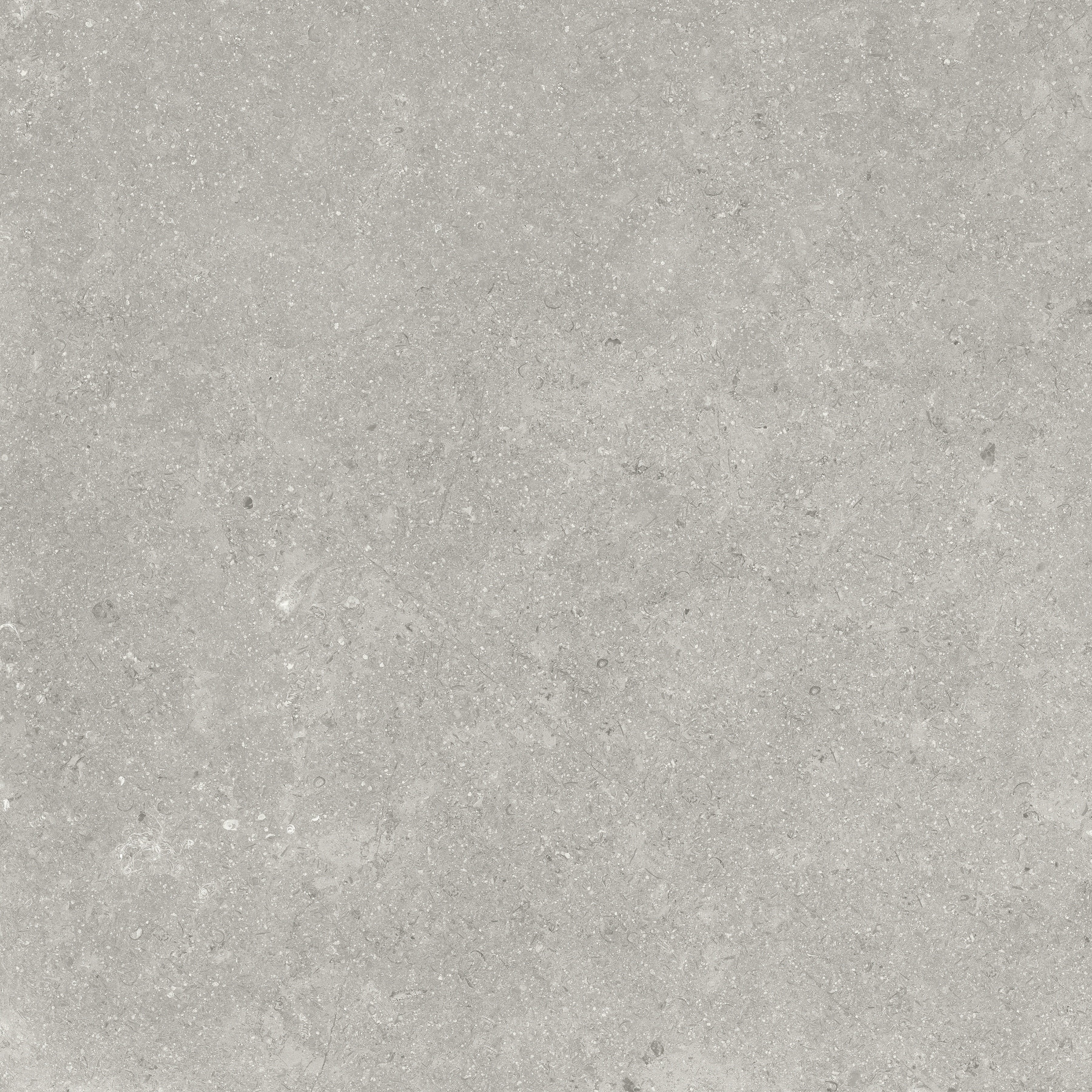 Coliseo Graphite porcelain field tile by Anatolia, top-down product view, 20"×11/32" size. Turkish porcelain for floors and walls.