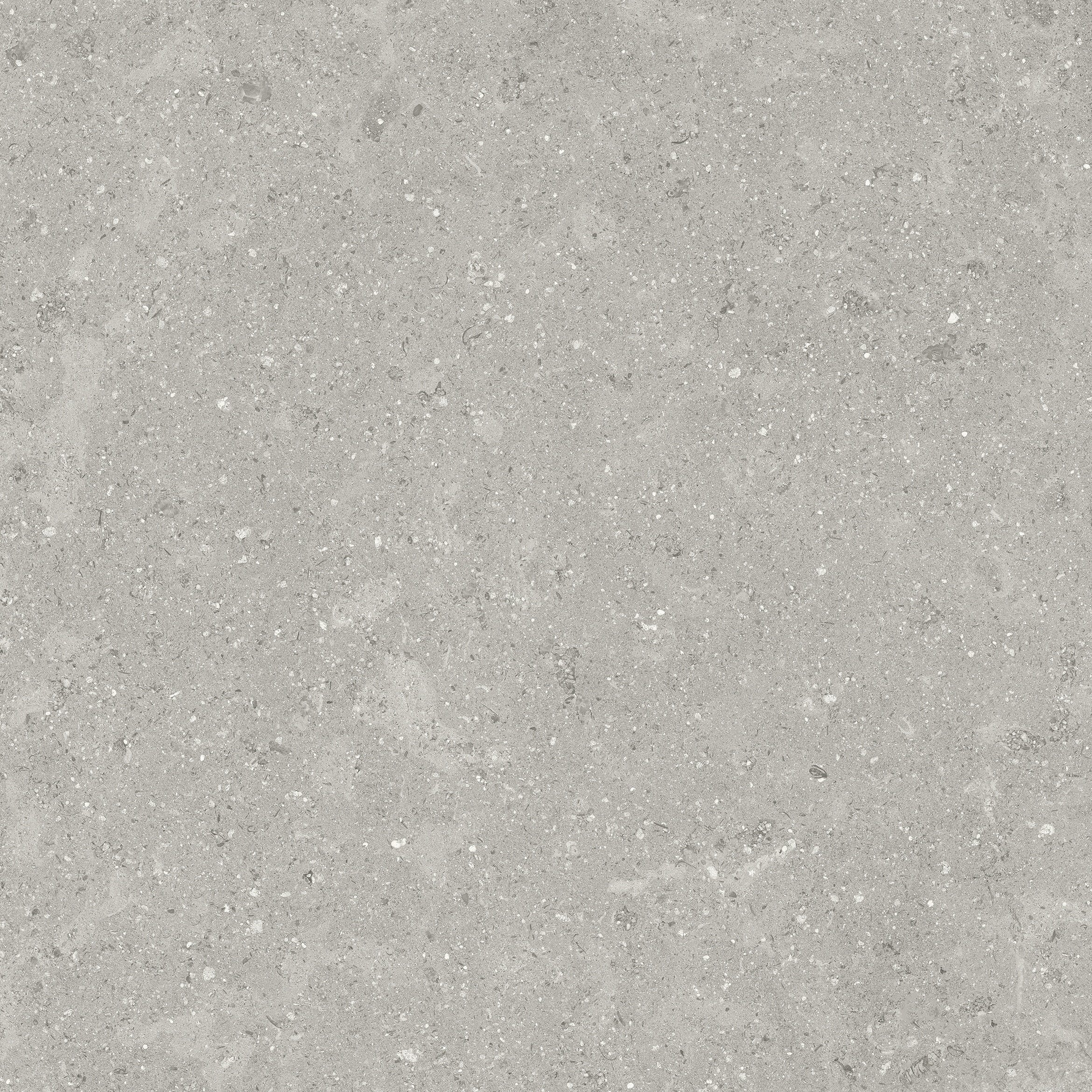 Coliseo Graphite porcelain field tile by Anatolia, top-down product view, 13"×5/16" size. Turkish porcelain for floors and walls.