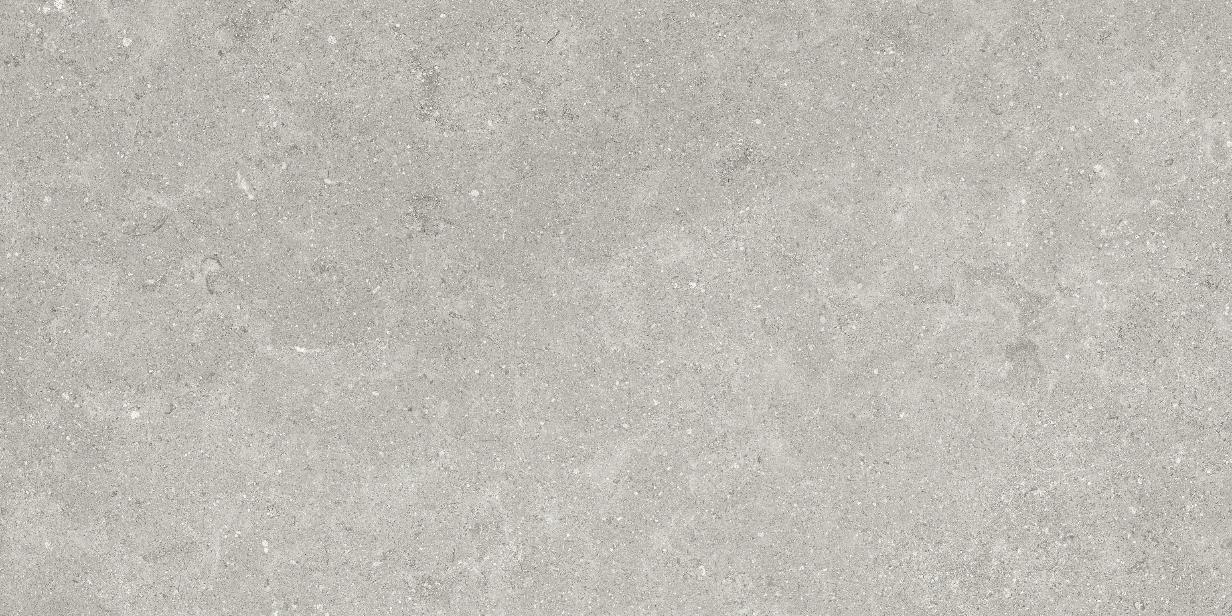 Coliseo Graphite porcelain field tile by Anatolia, top-down product view, 12"×24"×11/32" size. Turkish porcelain for floors and walls.