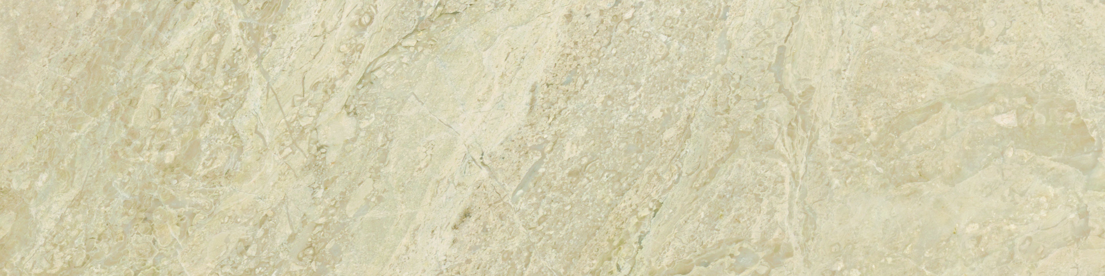 Impero Reale marble field tile by Anatolia, top-down product view, 3"×12"×3/8" size. Turkish marble for floors and walls.