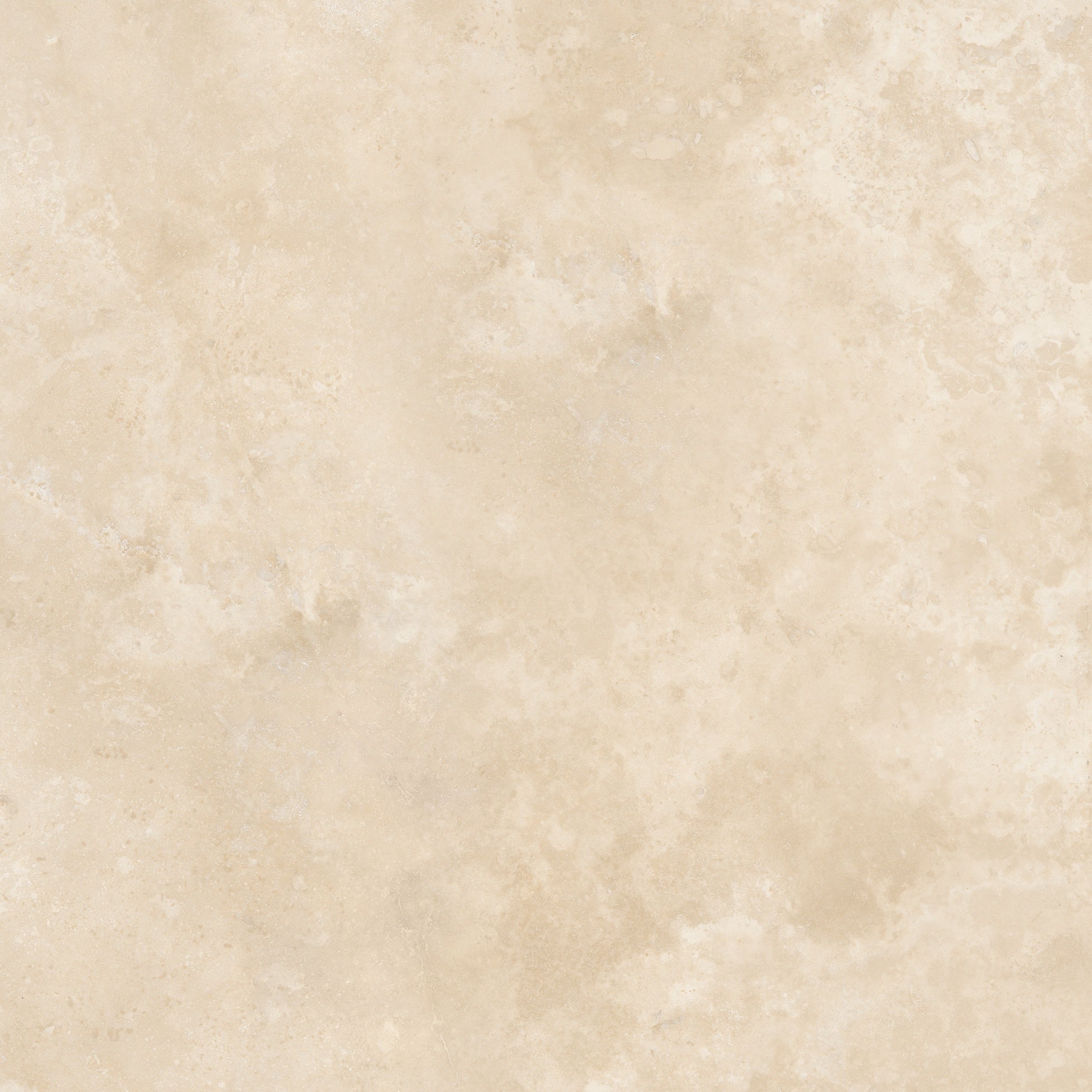 IVORY: Travertine Field Tile (24"×19/32" | Filled & Honed | Rectified)