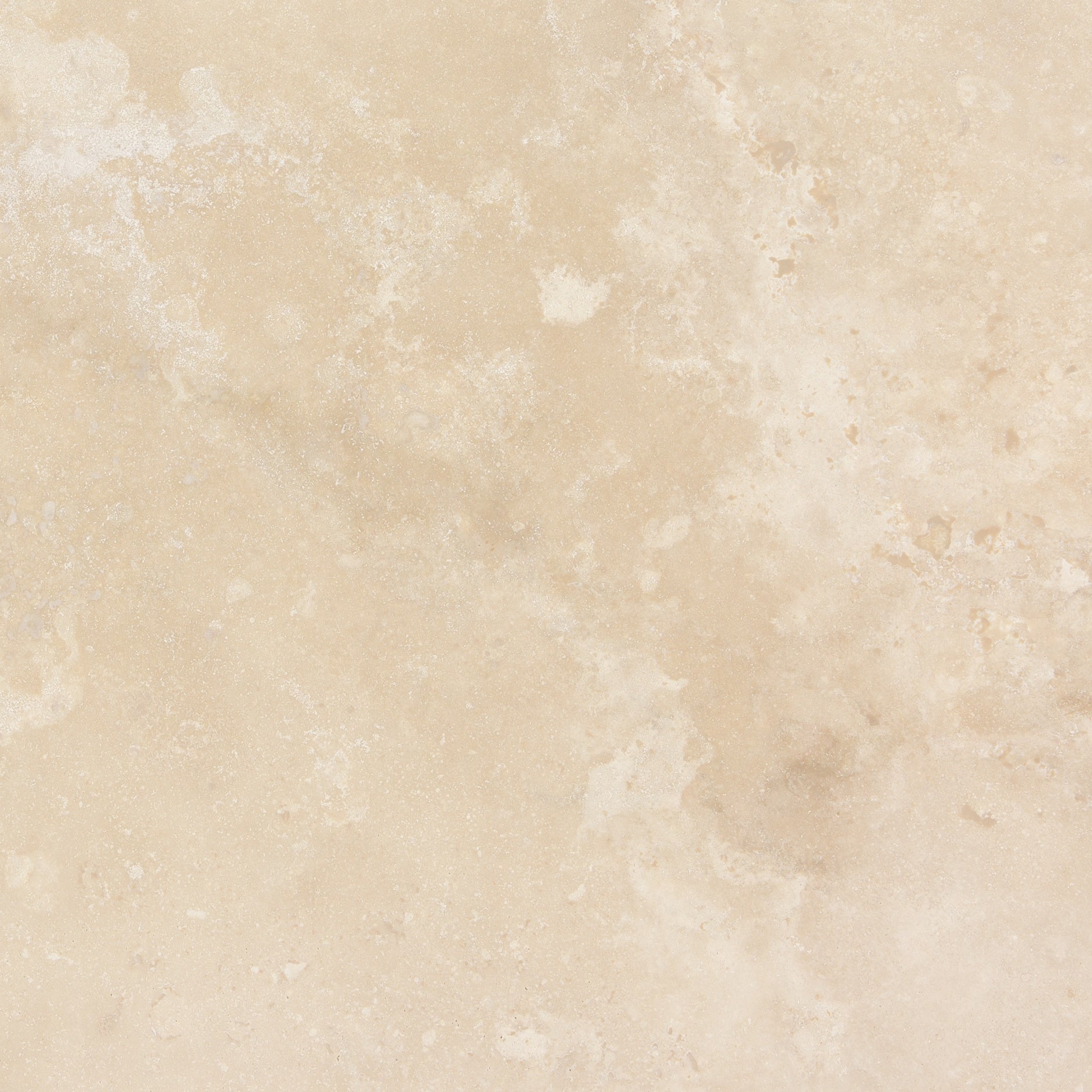 IVORY: Travertine Field Tile (12"×3/8" | Filled & Honed | Rectified)