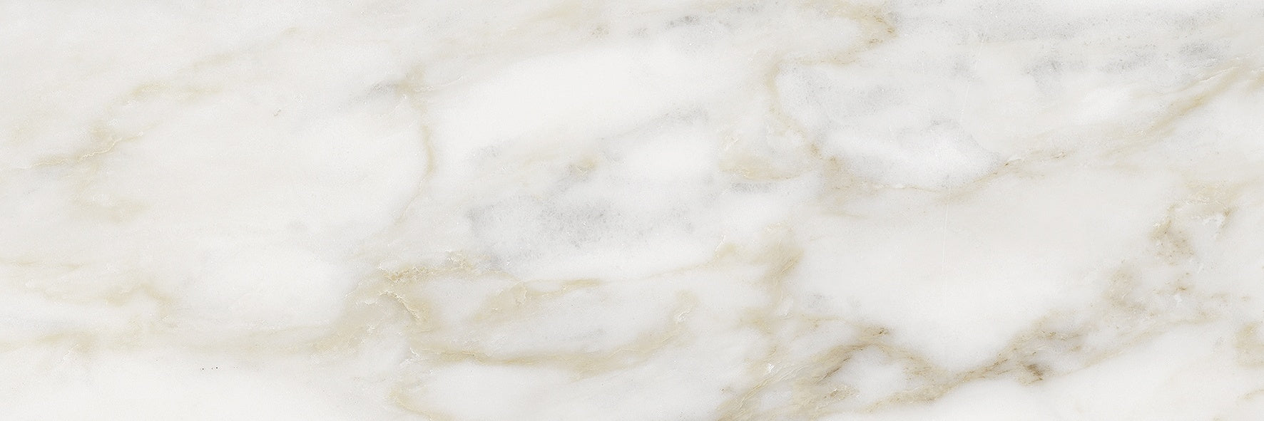 LA MARCA: Calacatta Paonazzo Porcelain Field Tile (4"×12"×11/32" | Honed | Rectified)