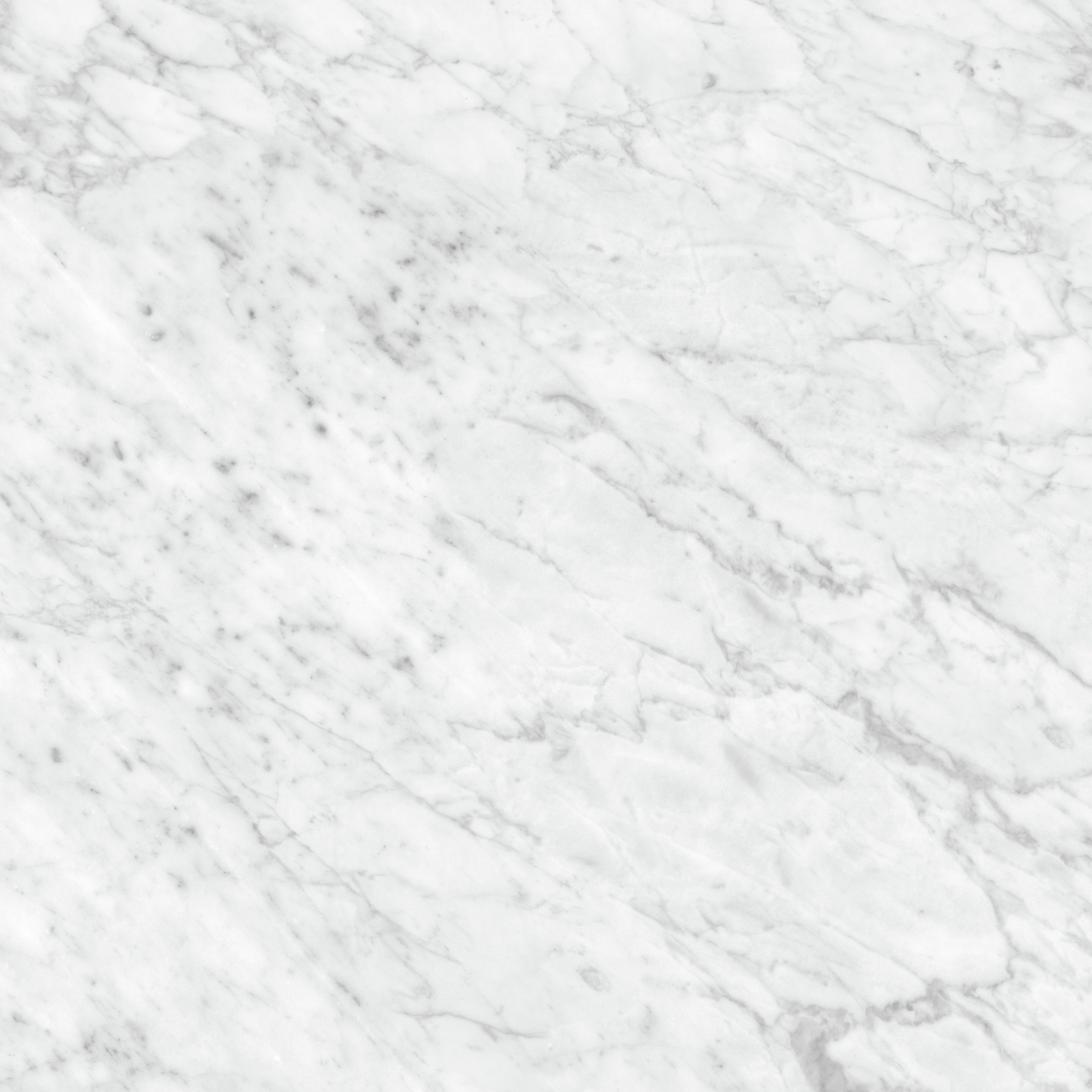 LA MARCA: Carrara Gioia Bullnose Porcelain Trim (3"×12"×11/32" | Honed | Rectified)