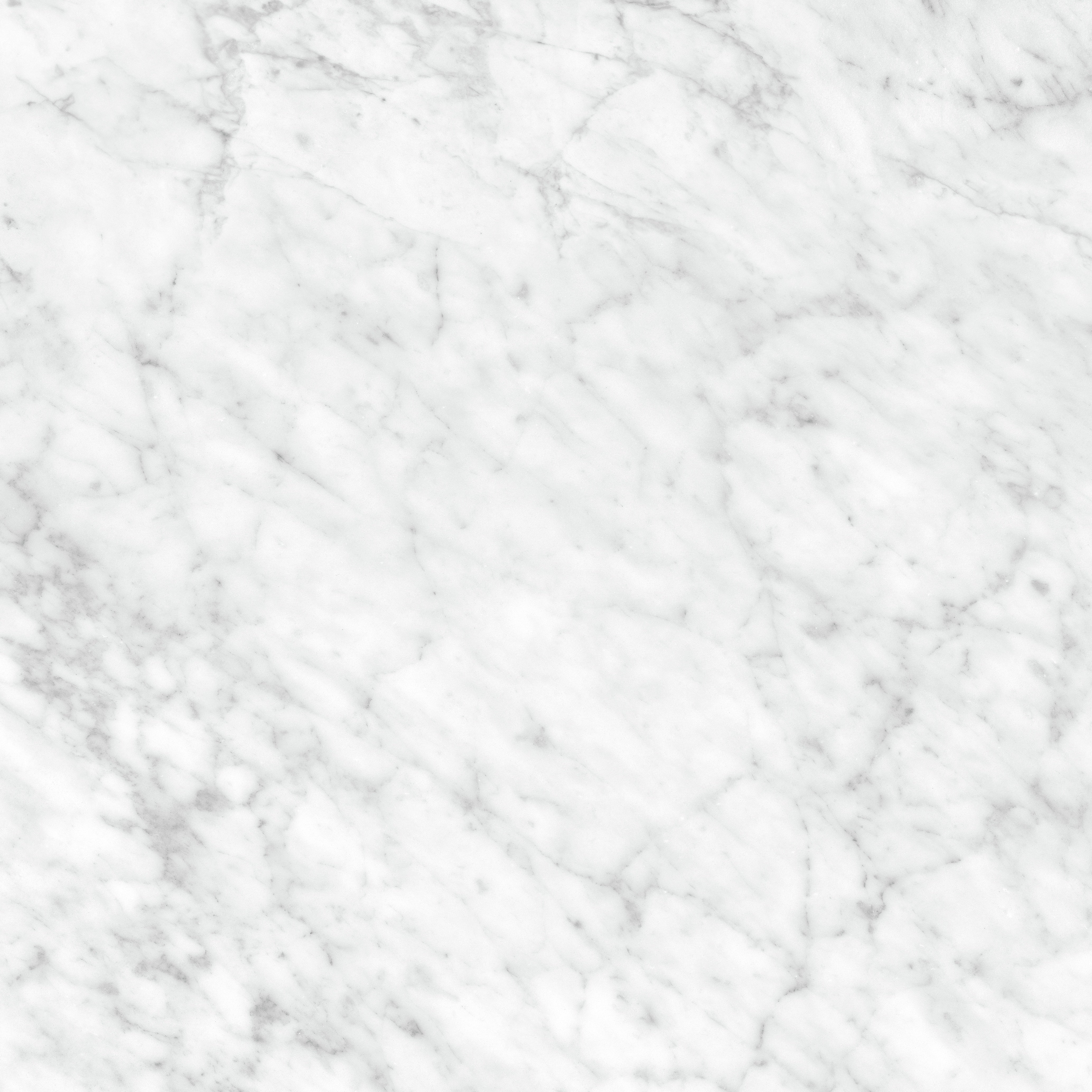 LA MARCA: Carrara Gioia Bullnose Porcelain Trim (3"×12"×11/32" | Honed | Rectified)