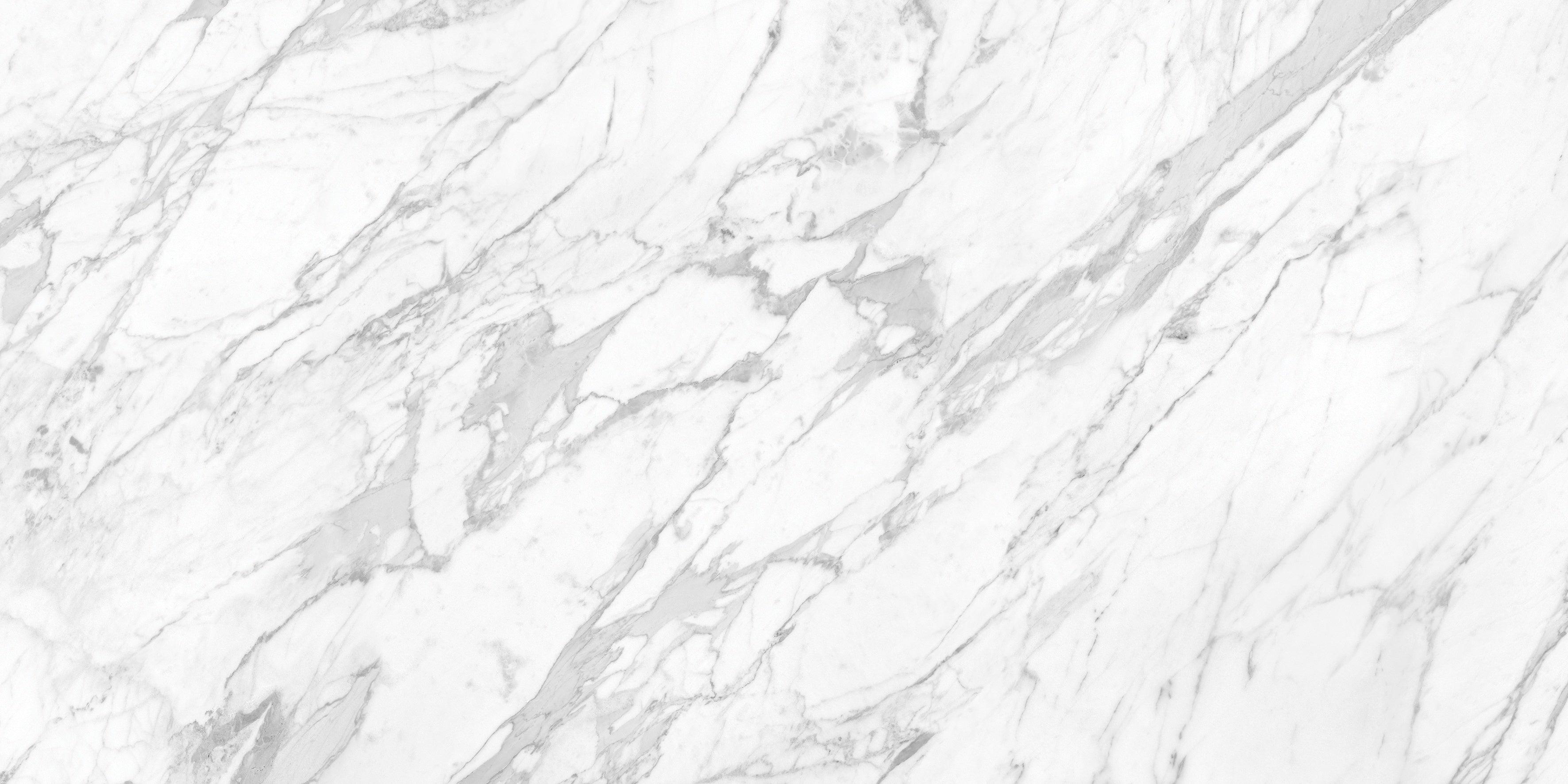 LA MARCA: Statuarietto Porcelain Field Tile (24"×48"×11/32" | Polished | Rectified)