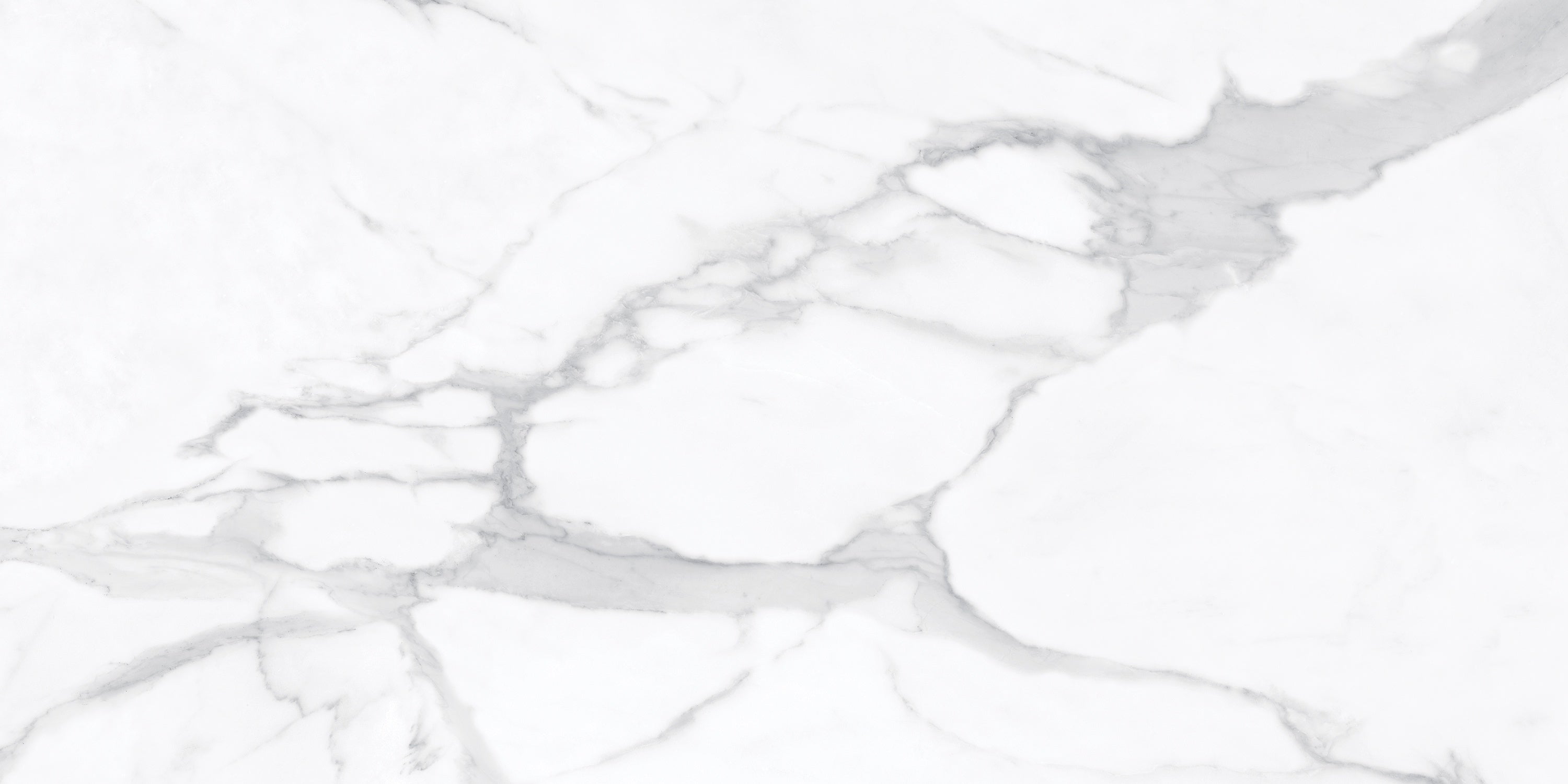 LA MARCA: Statuario Nuovo Porcelain Field Tile (24"×48"×11/32" | Honed | Rectified)
