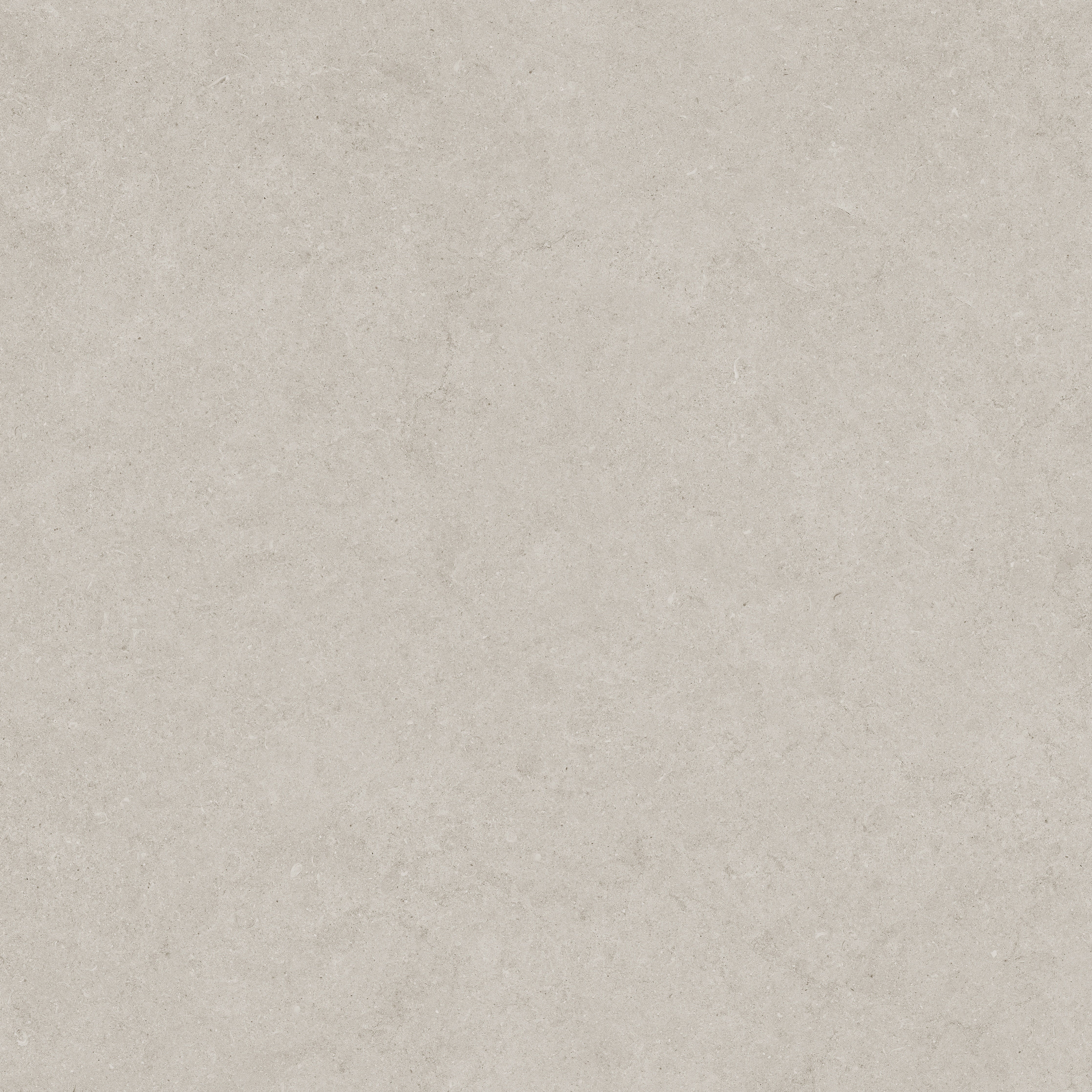 LITHOFORM: Crosscut Coast Crosscut Porcelain Field Tile (24"×11/32" | Honed | Rectified)