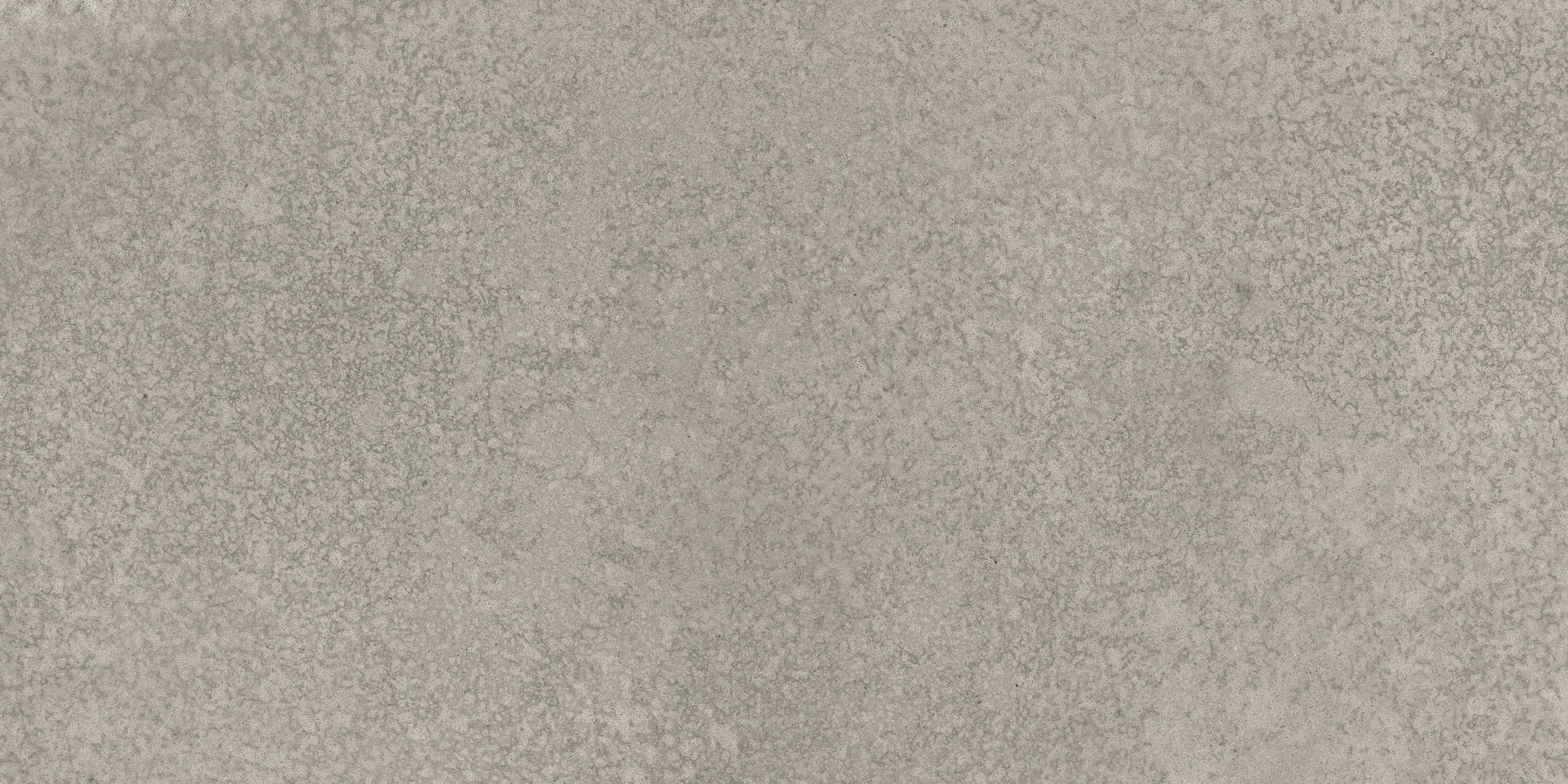 Locale Forge porcelain field tile by Anatolia, top-down product view, 12"×24"×11/32" size. Turkish porcelain for floors and walls.