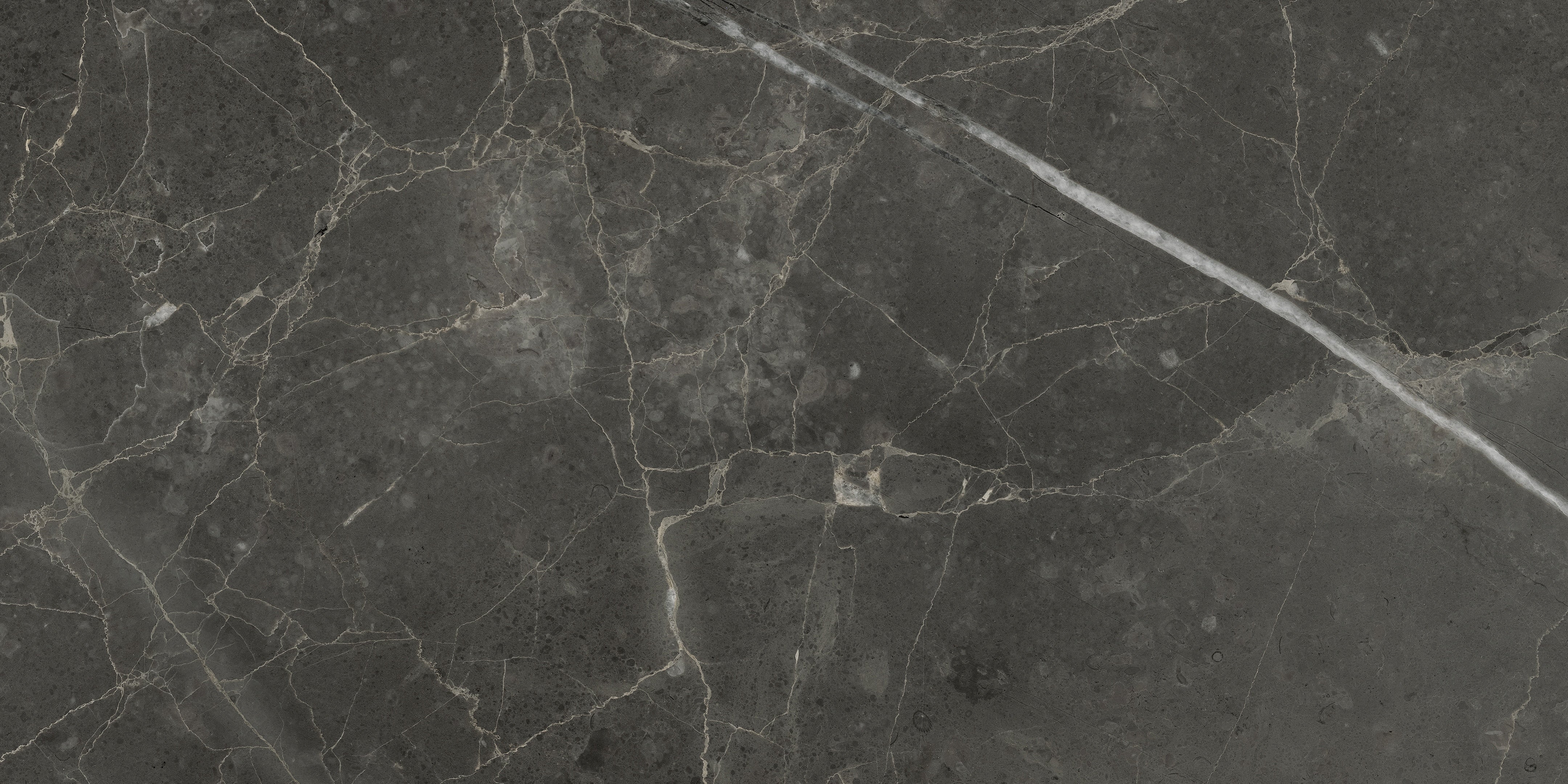 Lumino Carbon porcelain field tile by Anatolia, top-down product view, 12"×24"×11/32" size. Turkish porcelain for floors and walls.