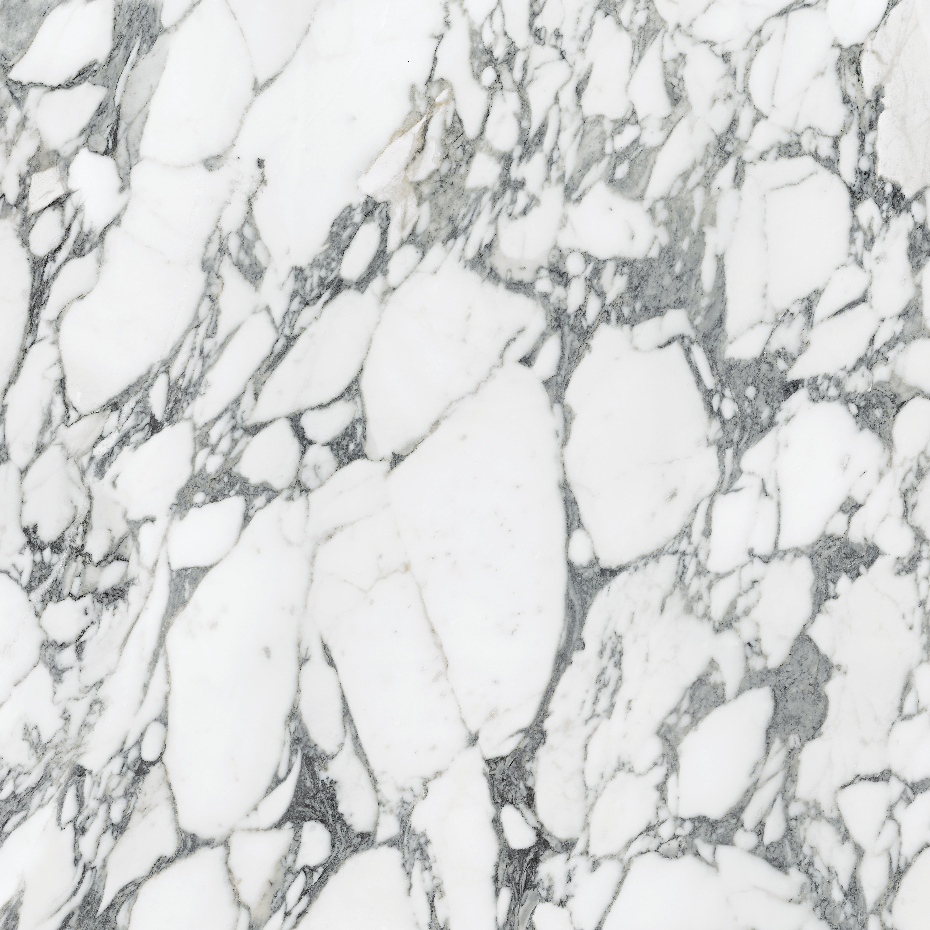 Majesto Arabescato Corchia porcelain field tile by Anatolia, top-down product view, 36"×11/32" size. Turkish porcelain for floors and walls.
