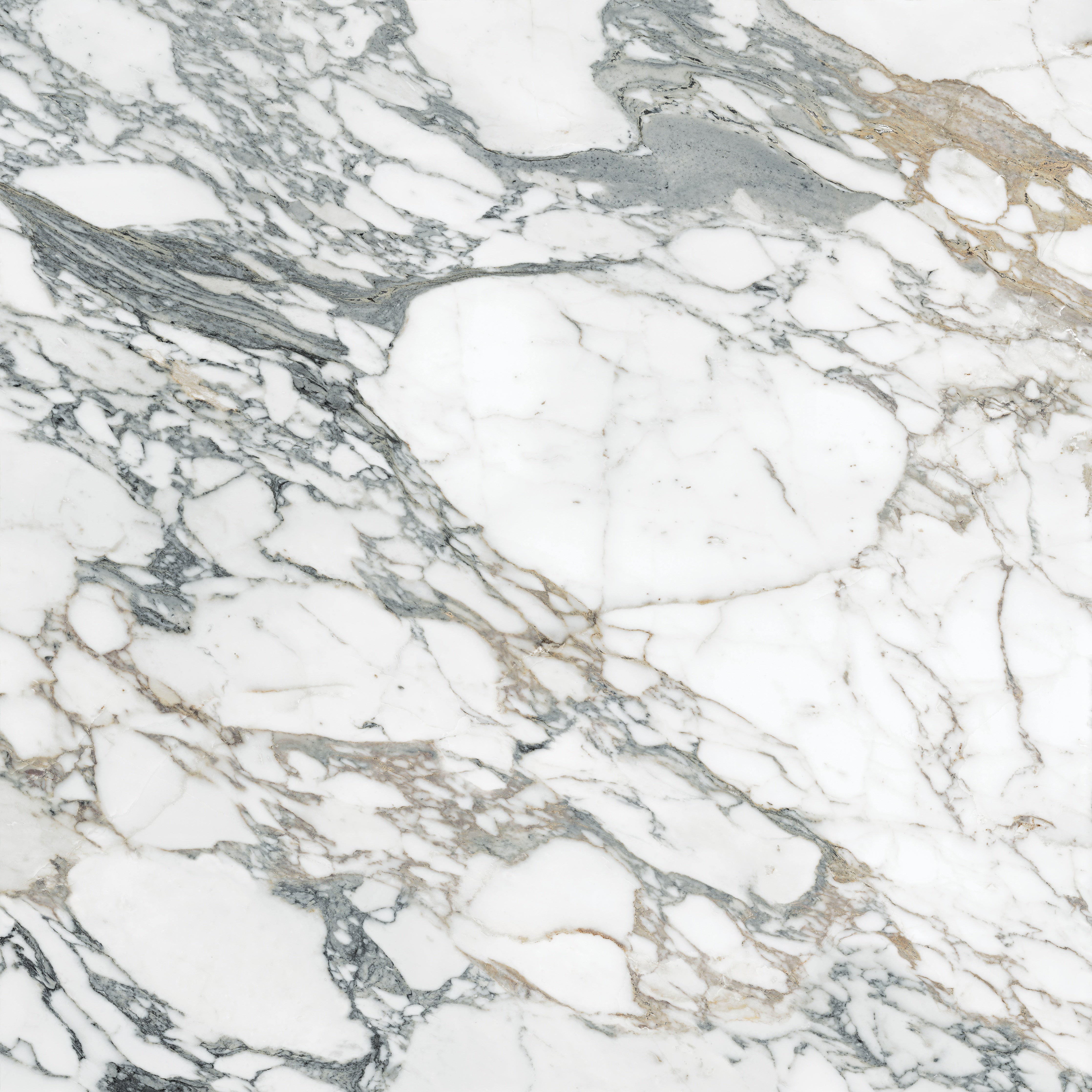 Majesto Arabescato Corchia porcelain field tile by Anatolia, top-down product view, 48"×11/32" size. Turkish porcelain for floors and walls.