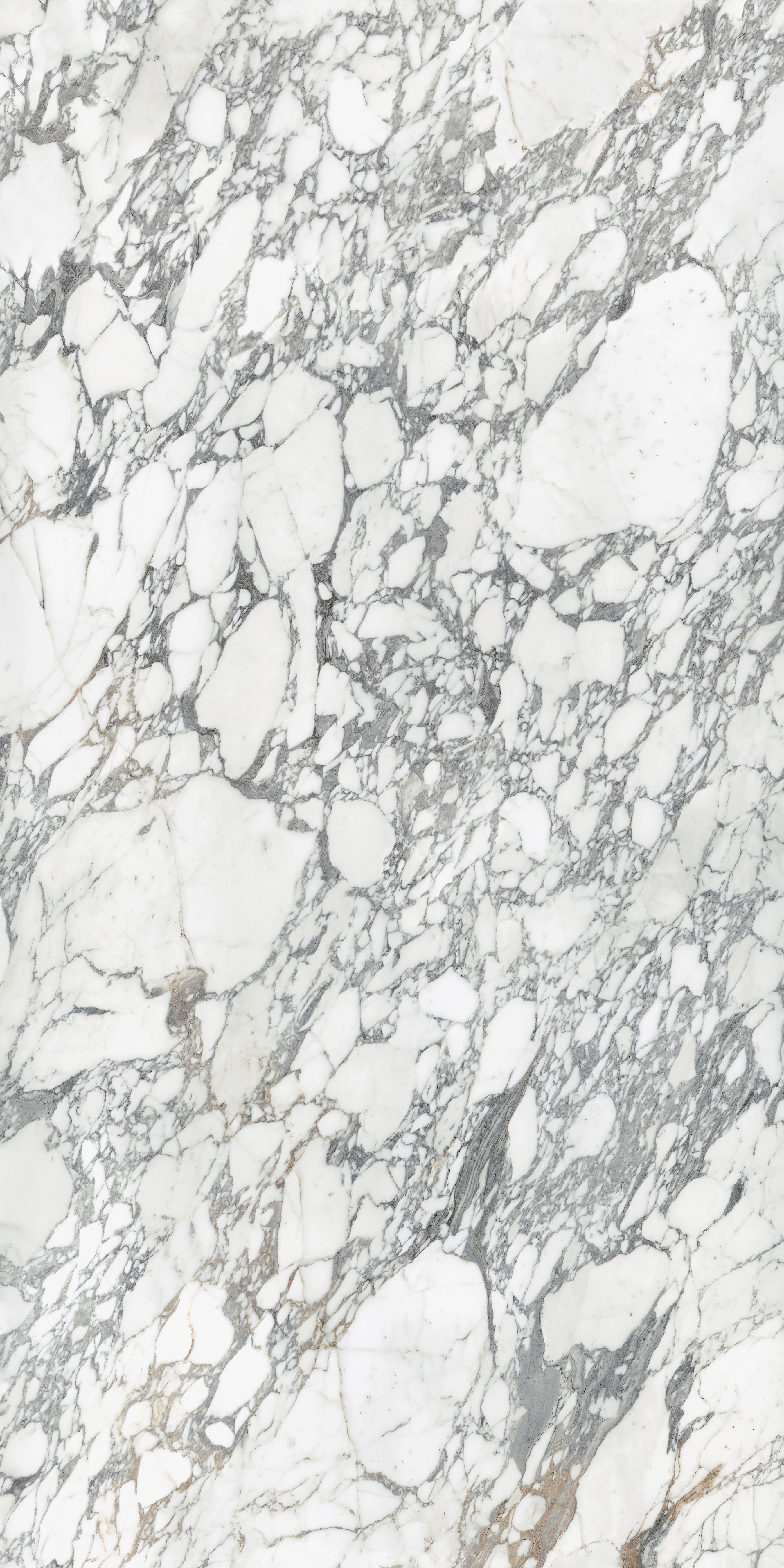 Majesto Arabescato Corchia sintered stone slabs by Anatolia, top-down product view, 63"×126"×1/4" size. Turkish sintered stone for floors and walls.