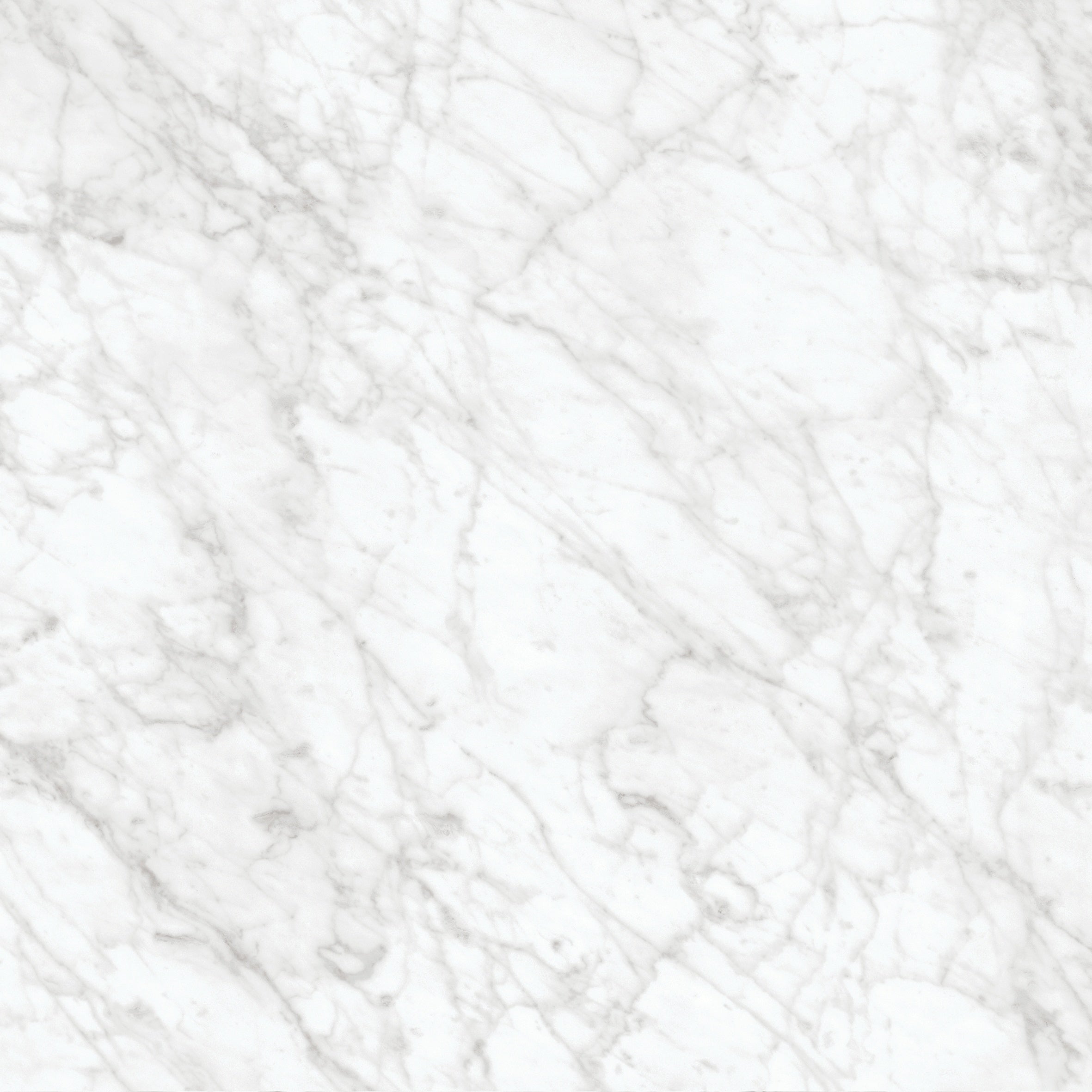 MAJESTO: Bianco Gioia Porcelain Field Tile (24"×11/32" | Honed | Rectified)