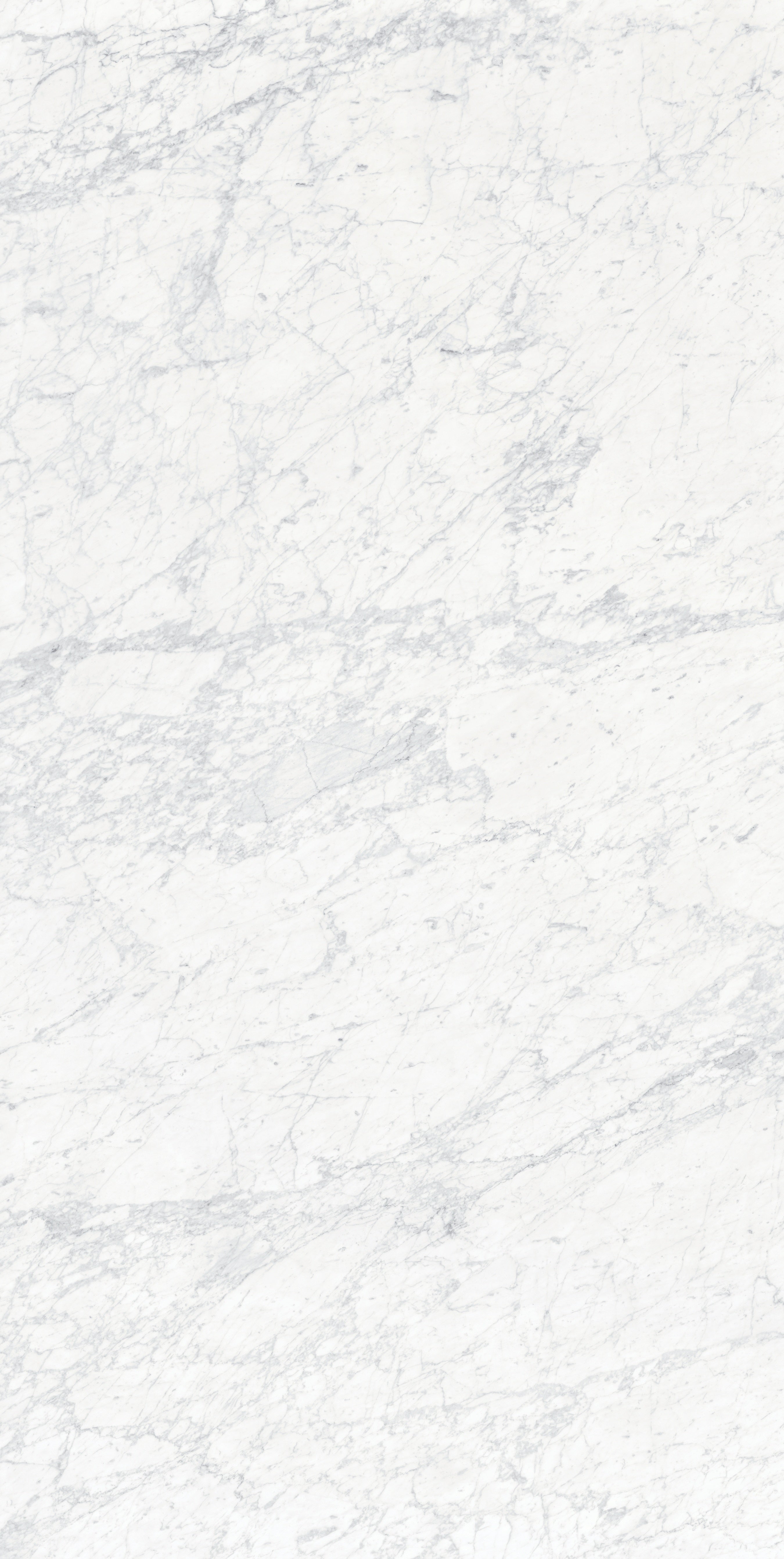 MAJESTO: Bianco Gioia Paver Porcelain Field Tile (24"×48"×25/32" | Vintage | Rectified)