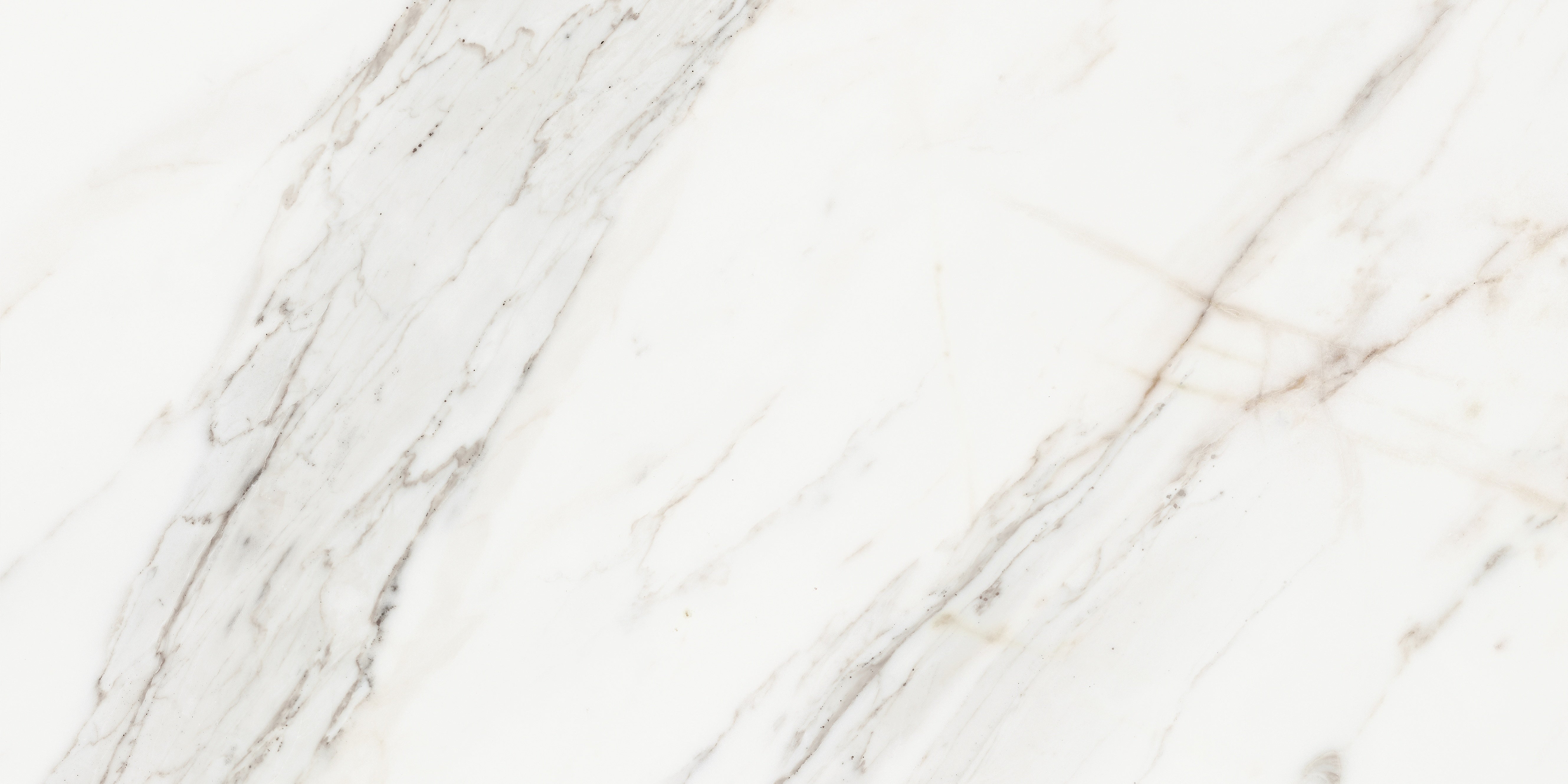 Majesto Calacatta Borghini porcelain field tile by Anatolia, top-down product view, 12"×24"×11/32" size. Turkish porcelain for floors and walls.