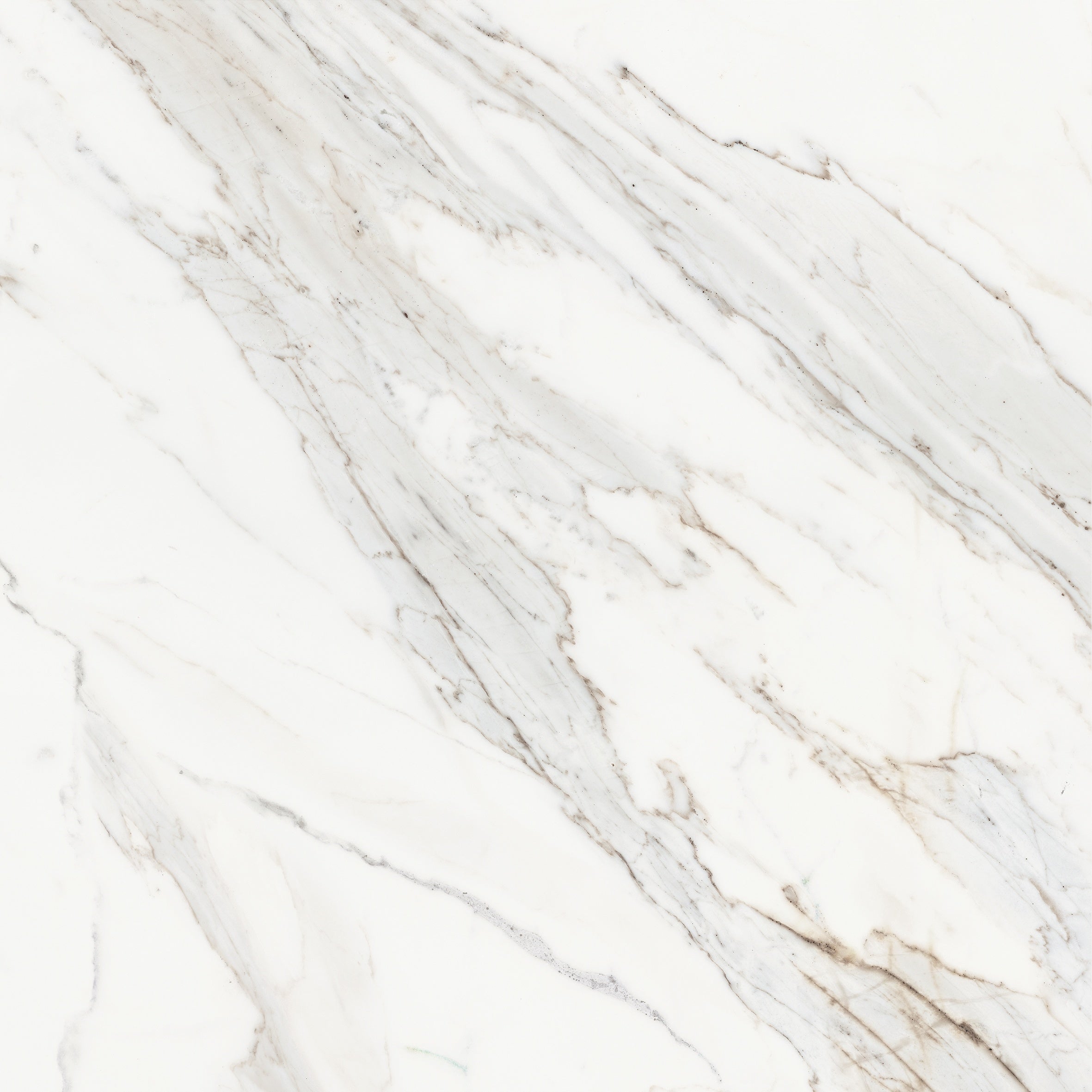 Majesto Calacatta Borghini porcelain field tile by Anatolia, top-down product view, 24"×11/32" size. Turkish porcelain for floors and walls.