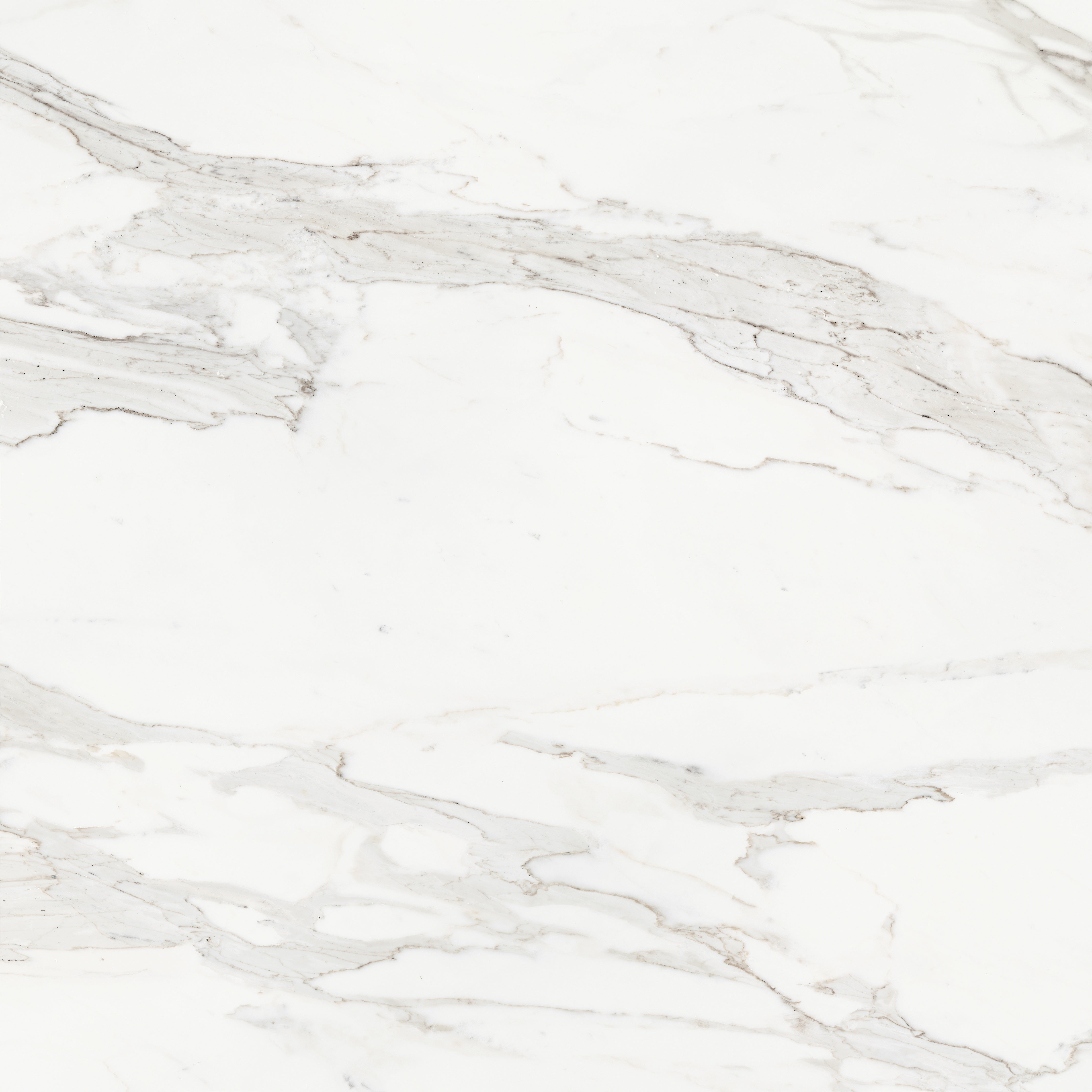 Majesto Calacatta Borghini porcelain field tile by Anatolia, top-down product view, 48"×11/32" size. Turkish porcelain for floors and walls.