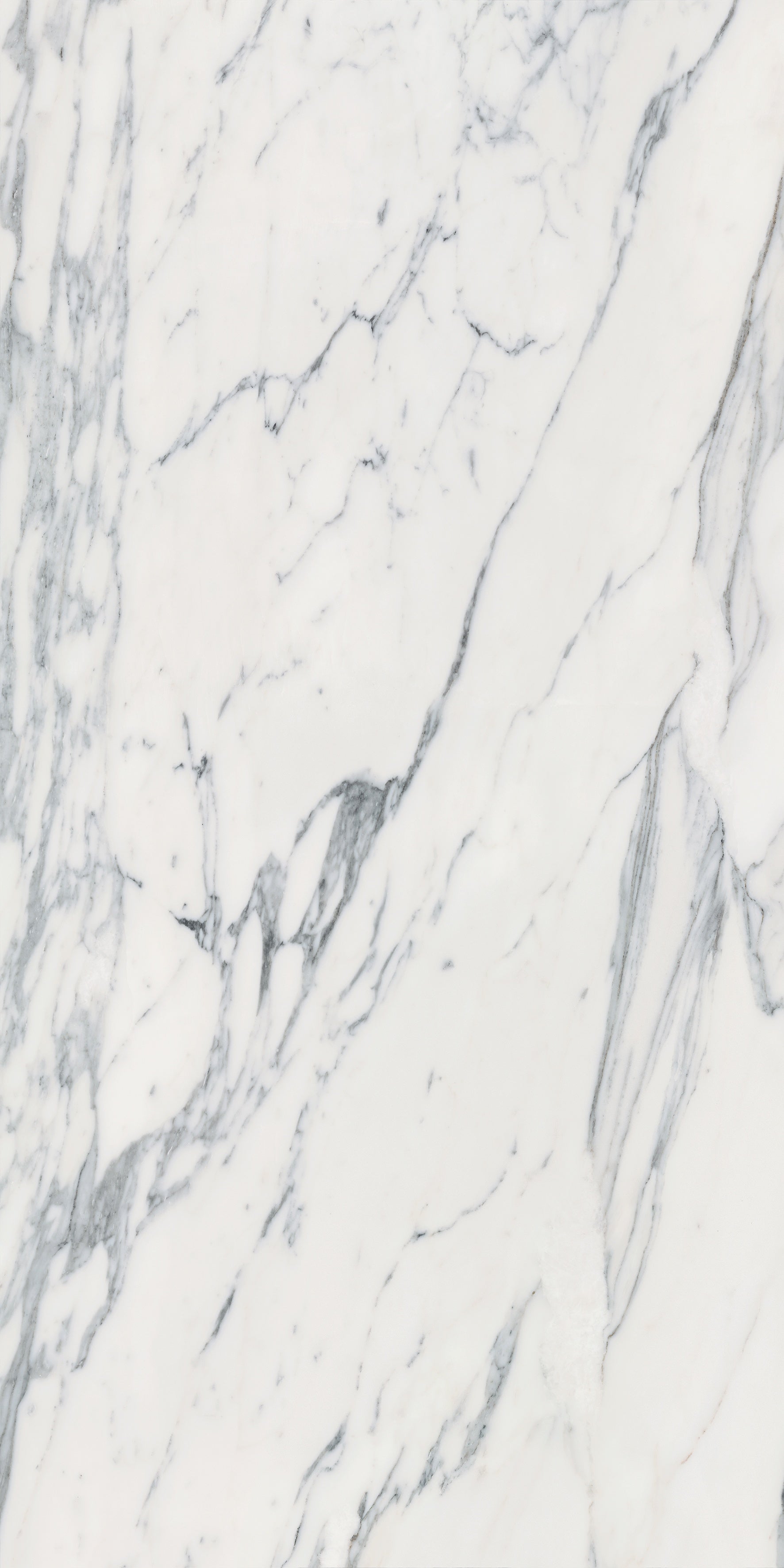 Majesto Calacatta Corchia porcelain field tile by Anatolia, top-down product view, 24"×48"×11/32" size. Turkish porcelain for floors and walls.