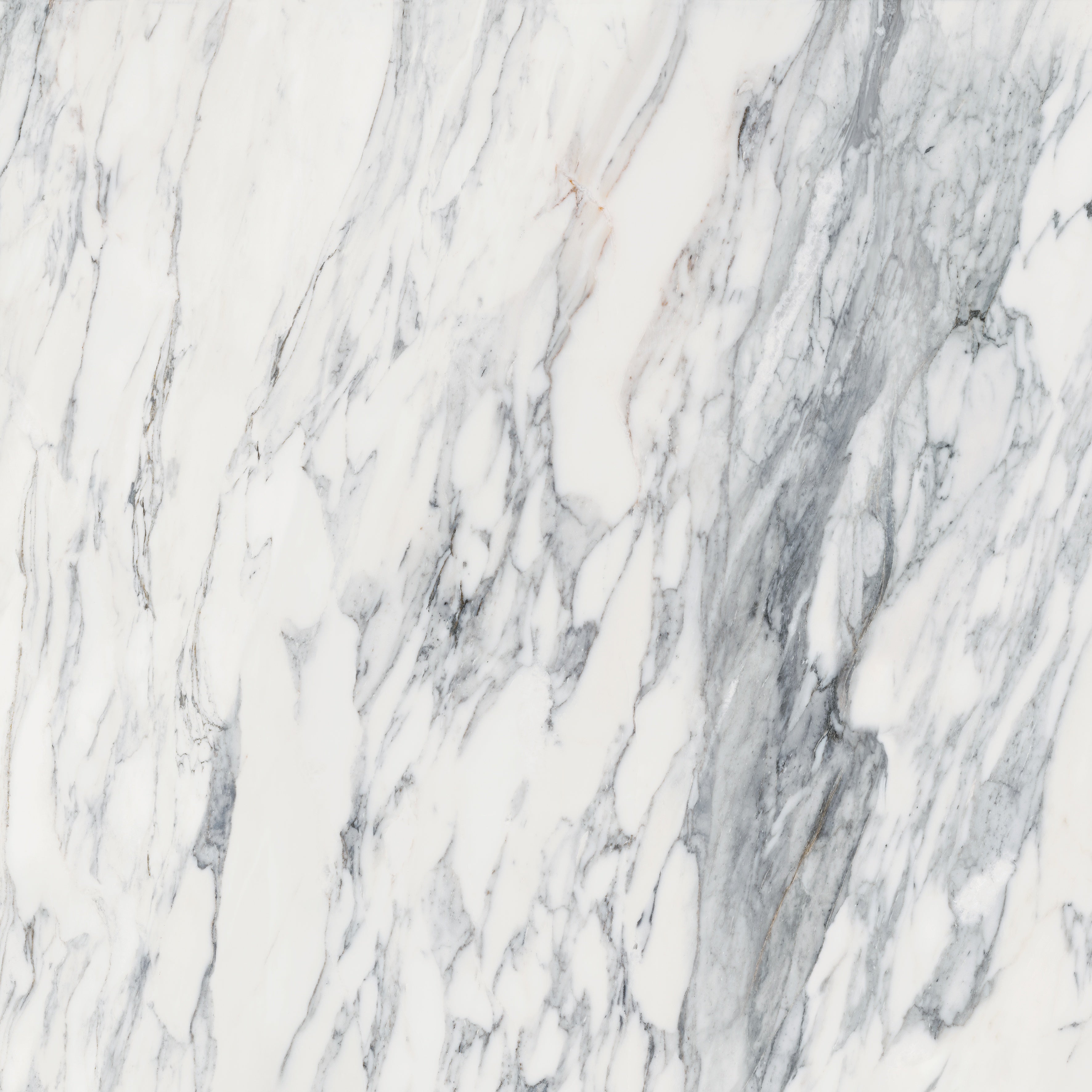 Majesto Calacatta Corchia porcelain field tile by Anatolia, top-down product view, 36"×11/32" size. Turkish porcelain for floors and walls.