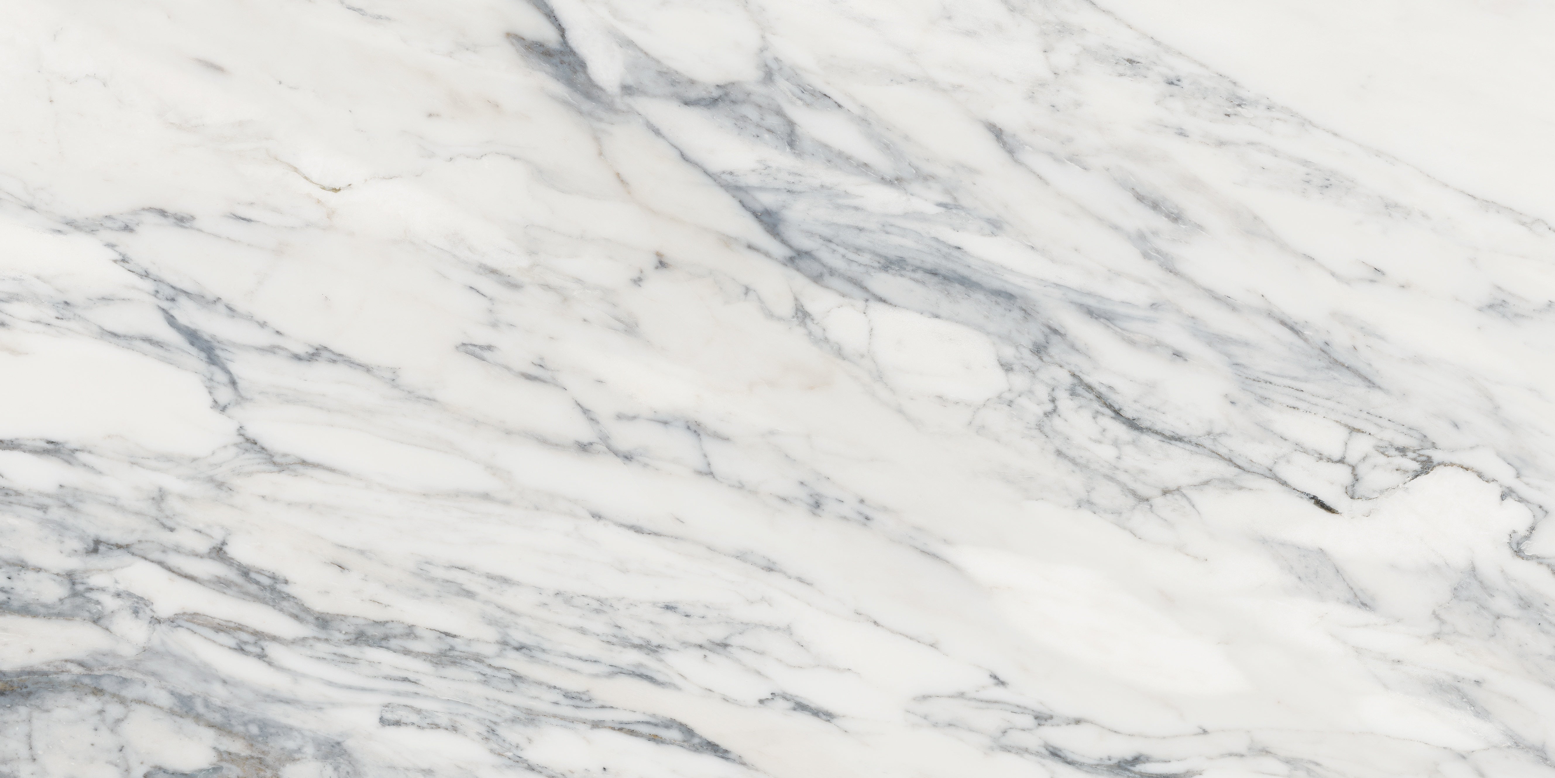 Majesto Calacatta Corchia porcelain field tile by Anatolia, top-down product view, 12"×24"×11/32" size. Turkish porcelain for floors and walls.