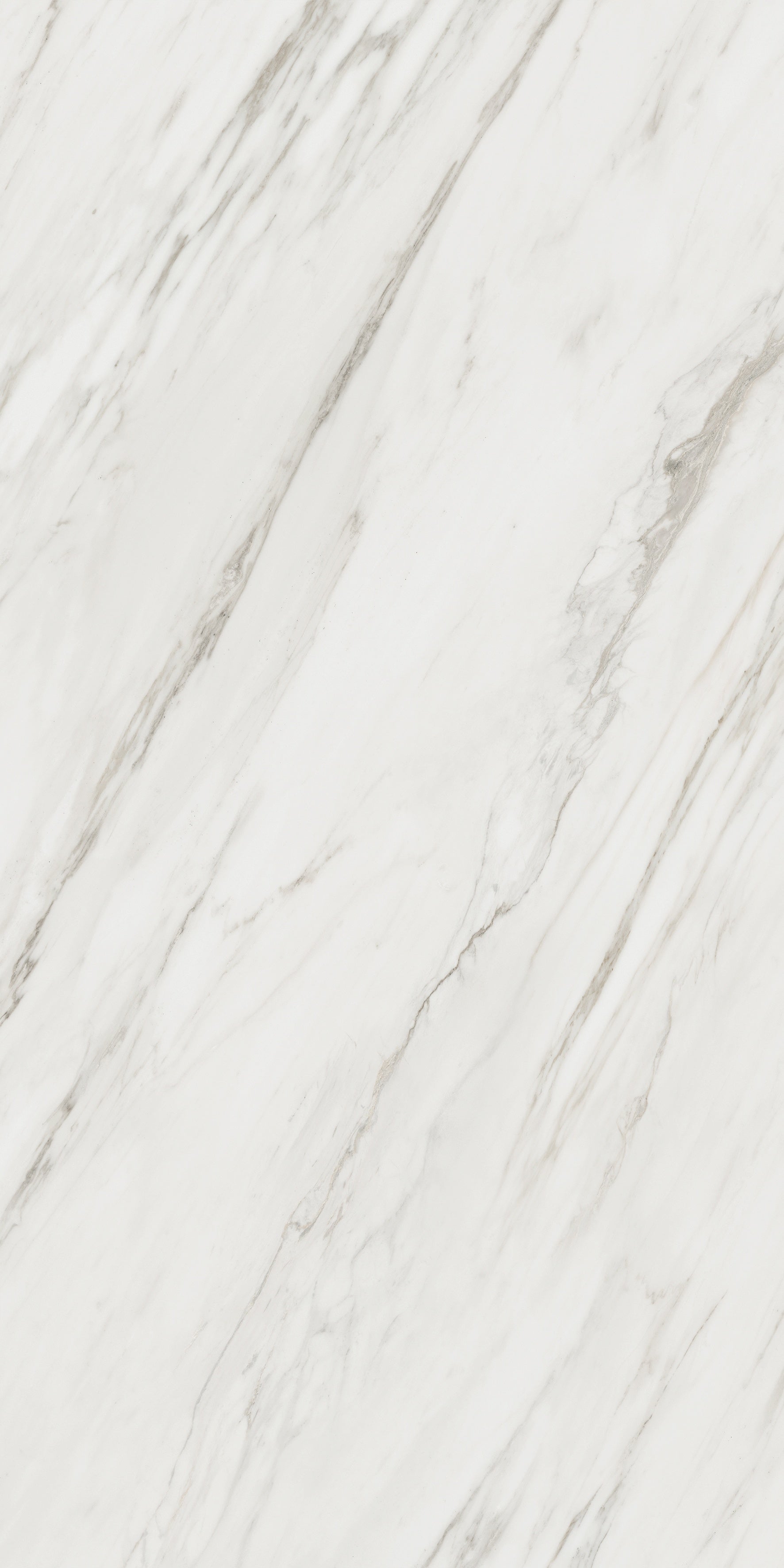 Majesto Calacatta Cremo porcelain field tile by Anatolia, top-down product view, 24"×48"×11/32" size. Turkish porcelain for floors and walls.