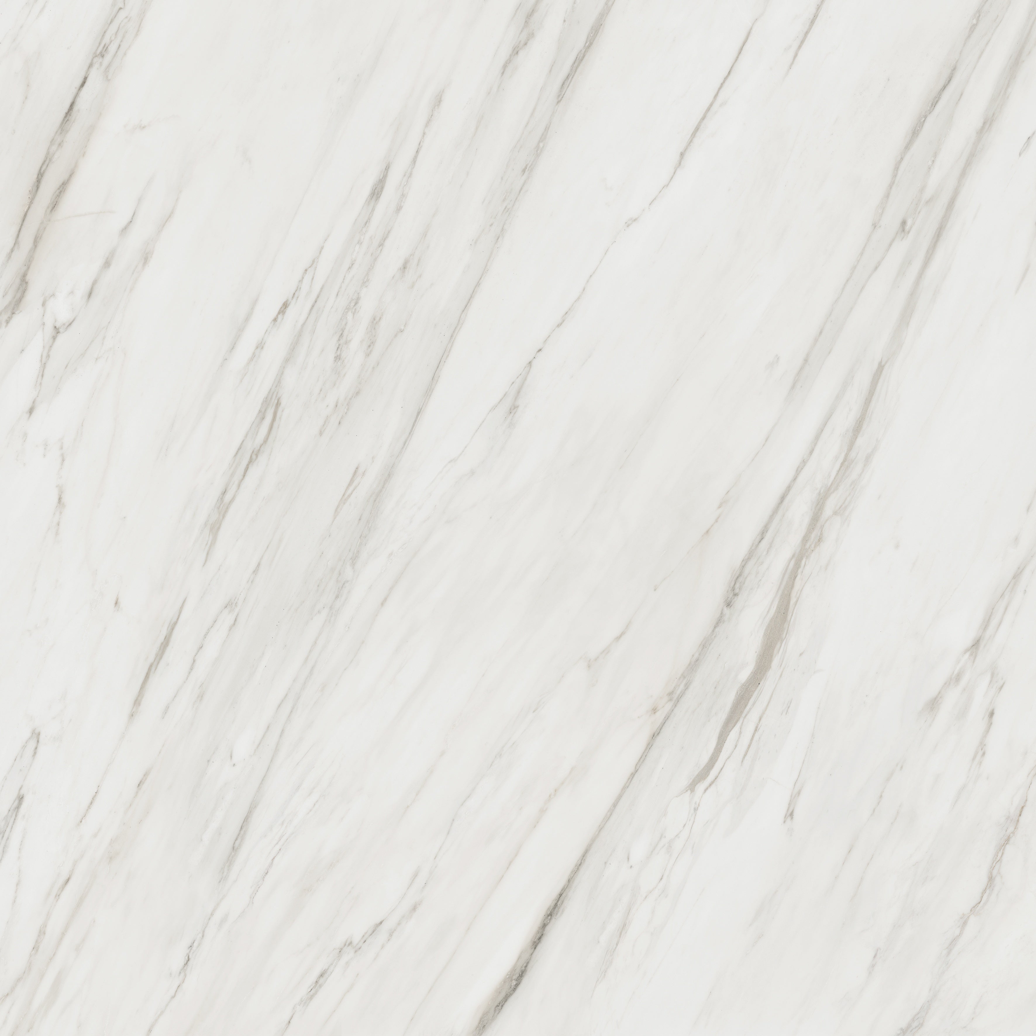 Majesto Calacatta Cremo porcelain field tile by Anatolia, top-down product view, 48"×11/32" size. Turkish porcelain for floors and walls.