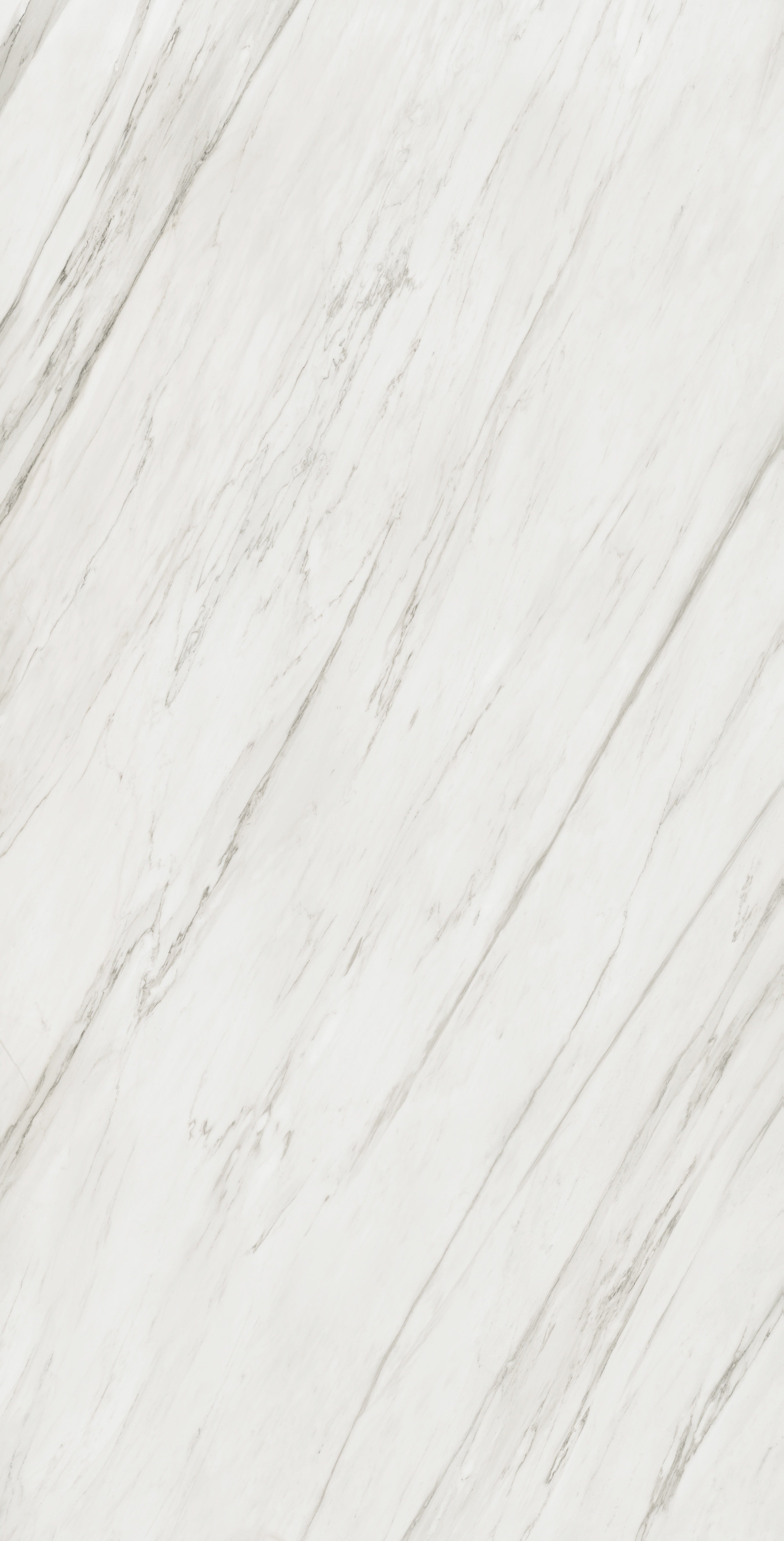Majesto Calacatta Cremo sintered stone slabs by Anatolia, top-down product view, 63"×126"×1/4" size. Turkish sintered stone for floors and walls.