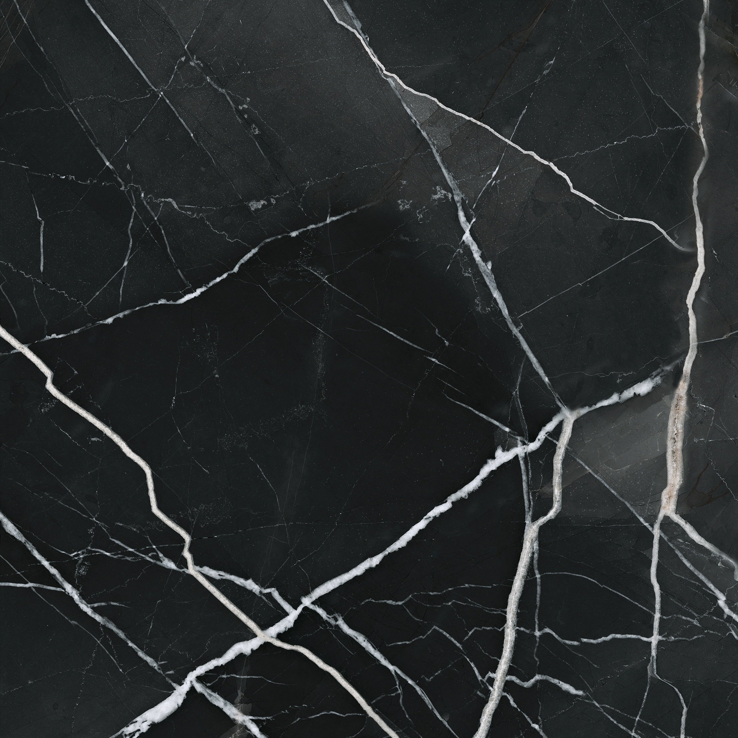 Majesto Calacatta Noir porcelain field tile by Anatolia, top-down product view, 24"×11/32" size. Turkish porcelain for floors and walls.