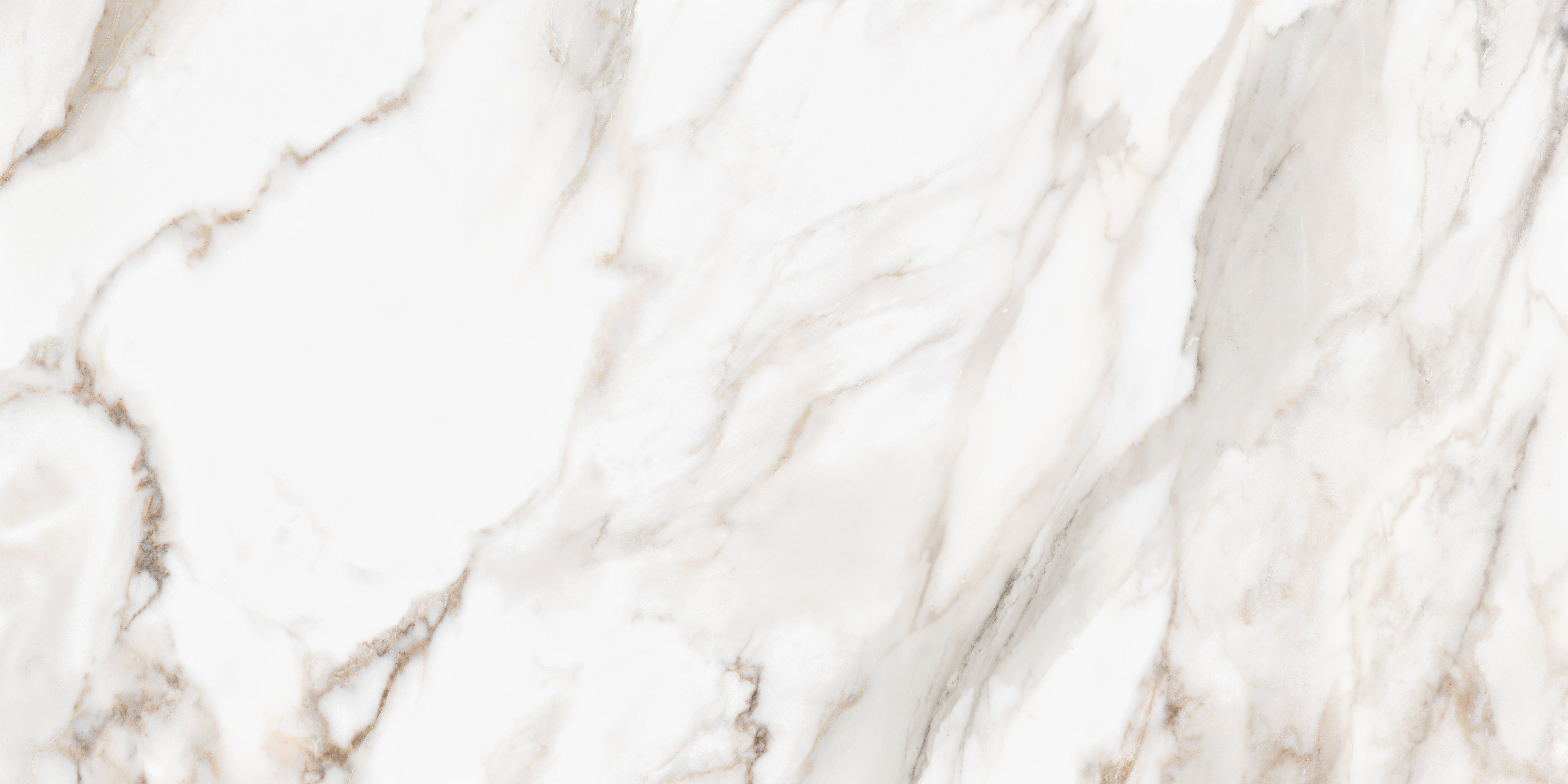 Majesto Calacatta Oro porcelain field tile by Anatolia, top-down product view, 24"×48"×11/32" size. Turkish porcelain for floors and walls.