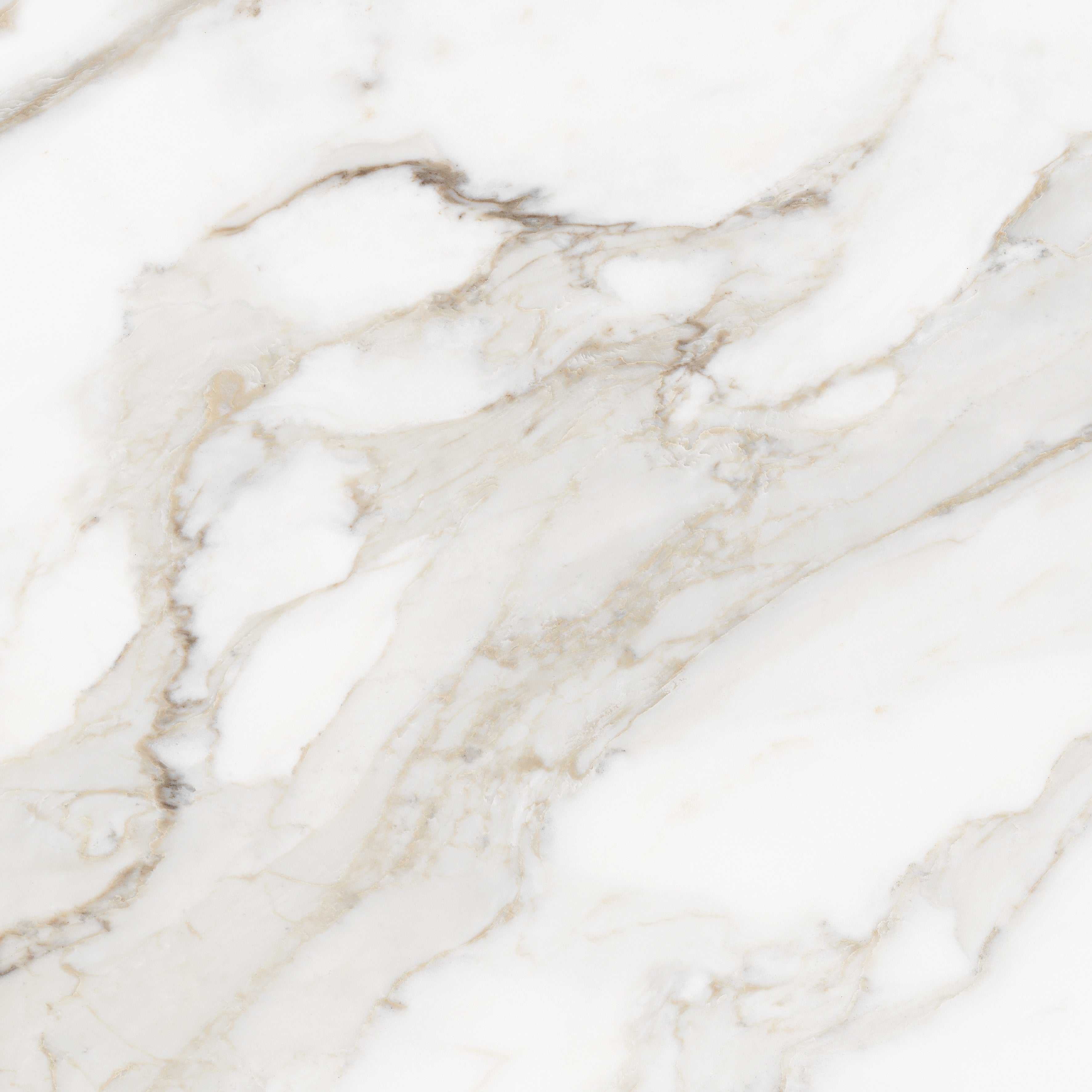 Majesto Calacatta Oro porcelain field tile by Anatolia, top-down product view, 24"×11/32" size. Turkish porcelain for floors and walls.