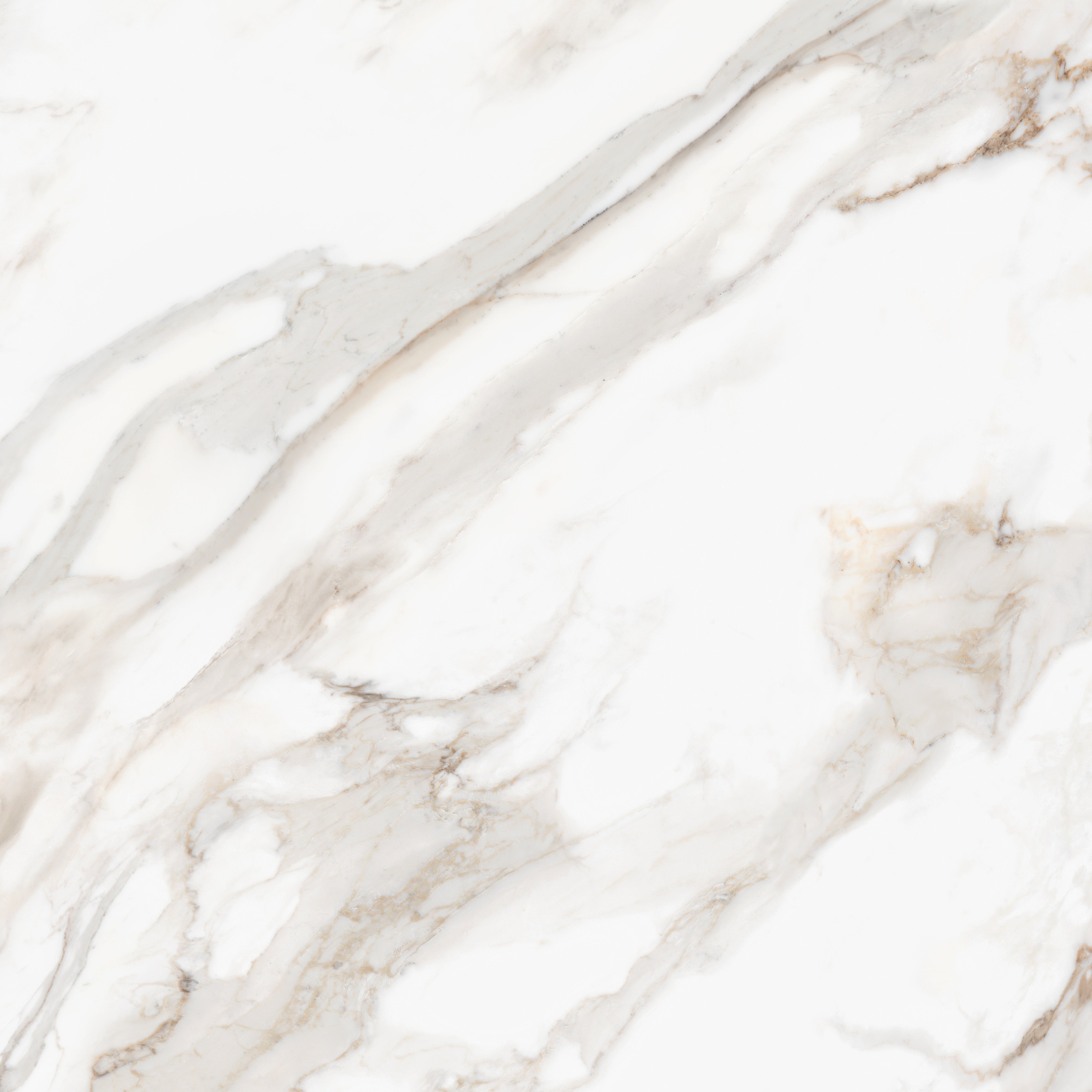 Majesto Calacatta Oro porcelain field tile by Anatolia, top-down product view, 48"×11/32" size. Turkish porcelain for floors and walls.