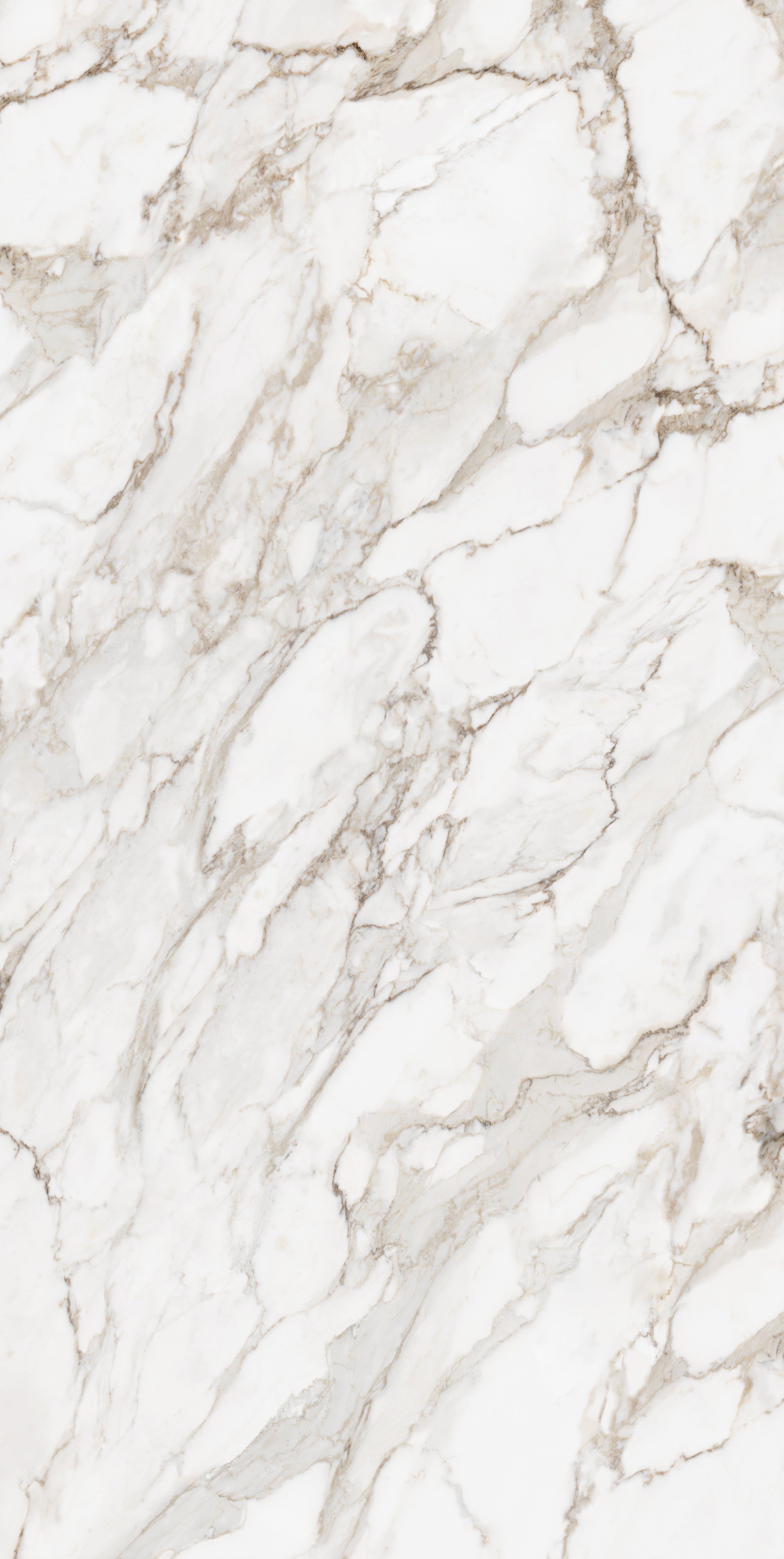Majesto Calacatta Oro sintered stone slabs by Anatolia, top-down product view, 63"×126"×1/4" size. Turkish sintered stone for floors and walls.