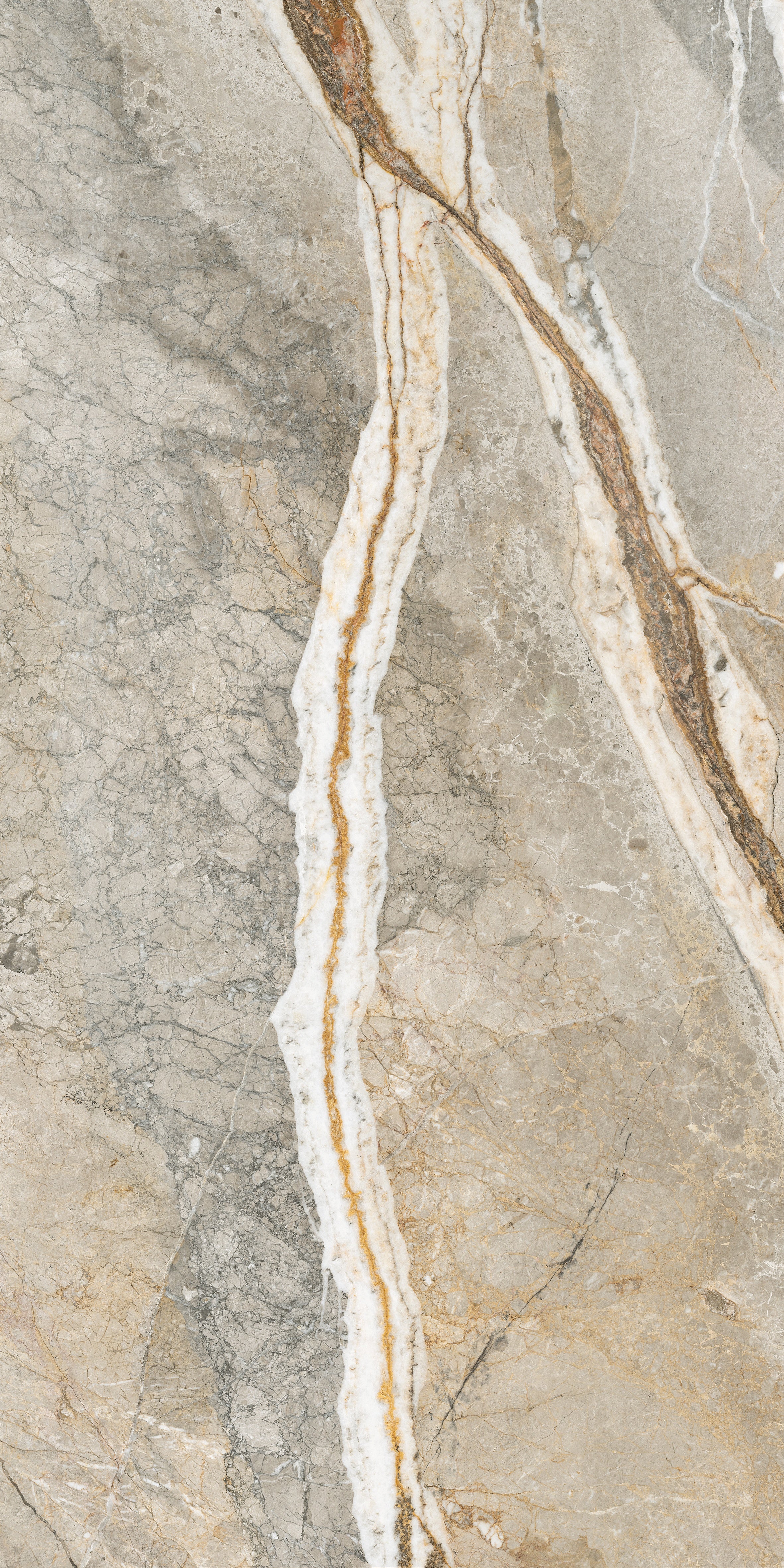 Majesto Foresta porcelain field tile by Anatolia, top-down product view, 24"×48"×11/32" size. Turkish porcelain for floors and walls.